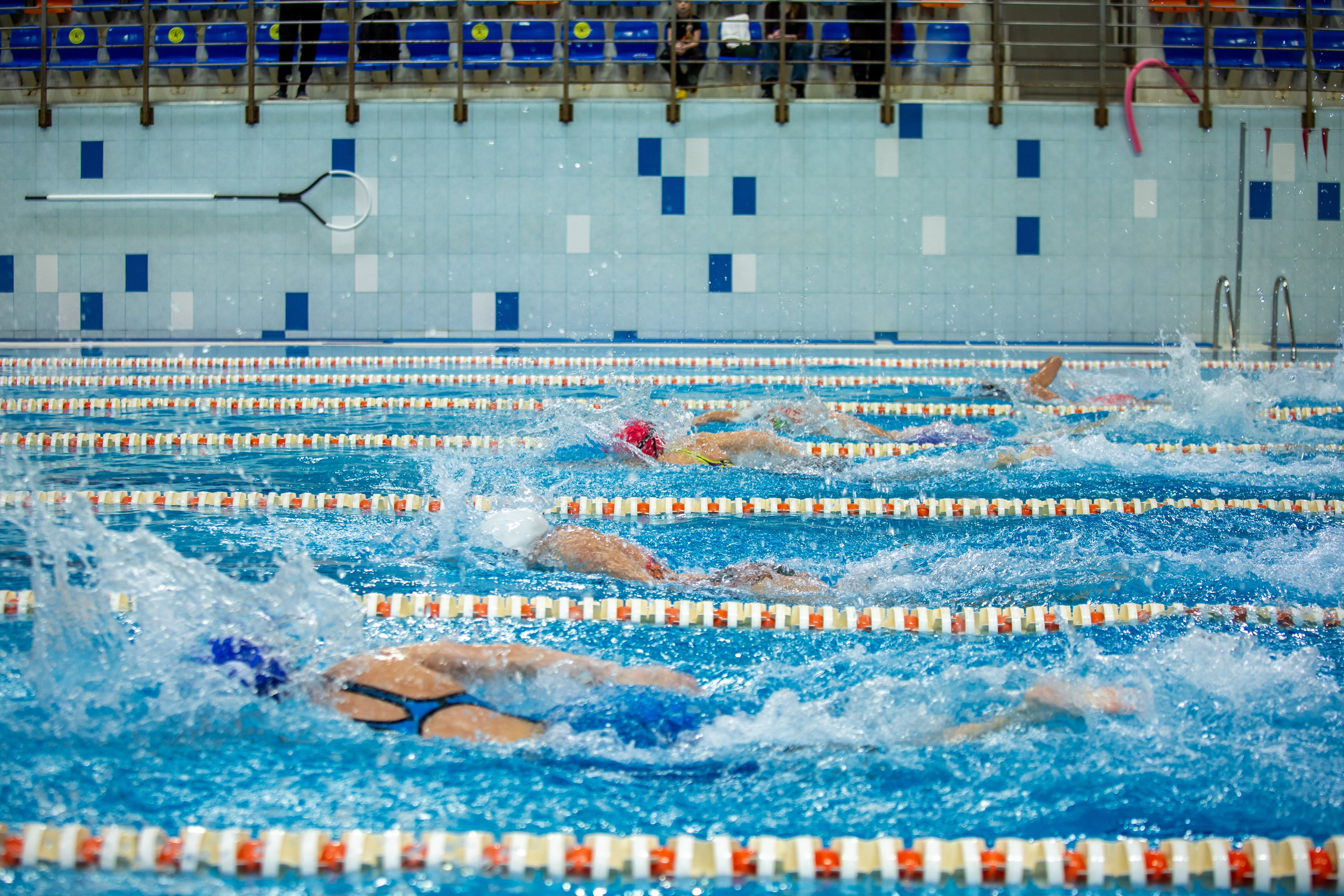 Турнир по плаванию. Репортажный, семейный, свадебный, портретный фотограф