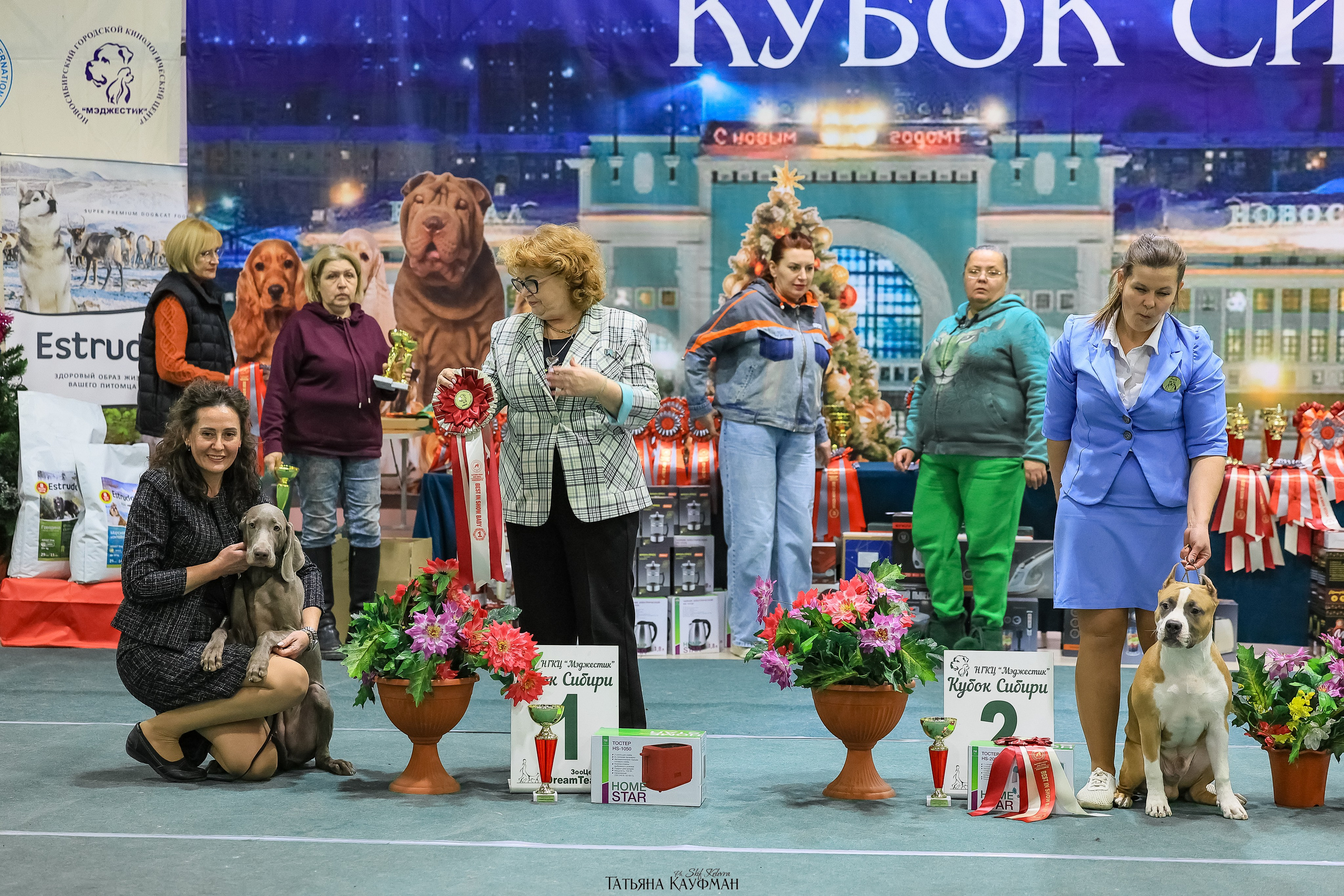 6-7.12.25 — 1-4 Национальные выставки собак в Новосибирске (2х рейтинговые). Фотограф Анималист из Новосибирска Татьяна Кауфман