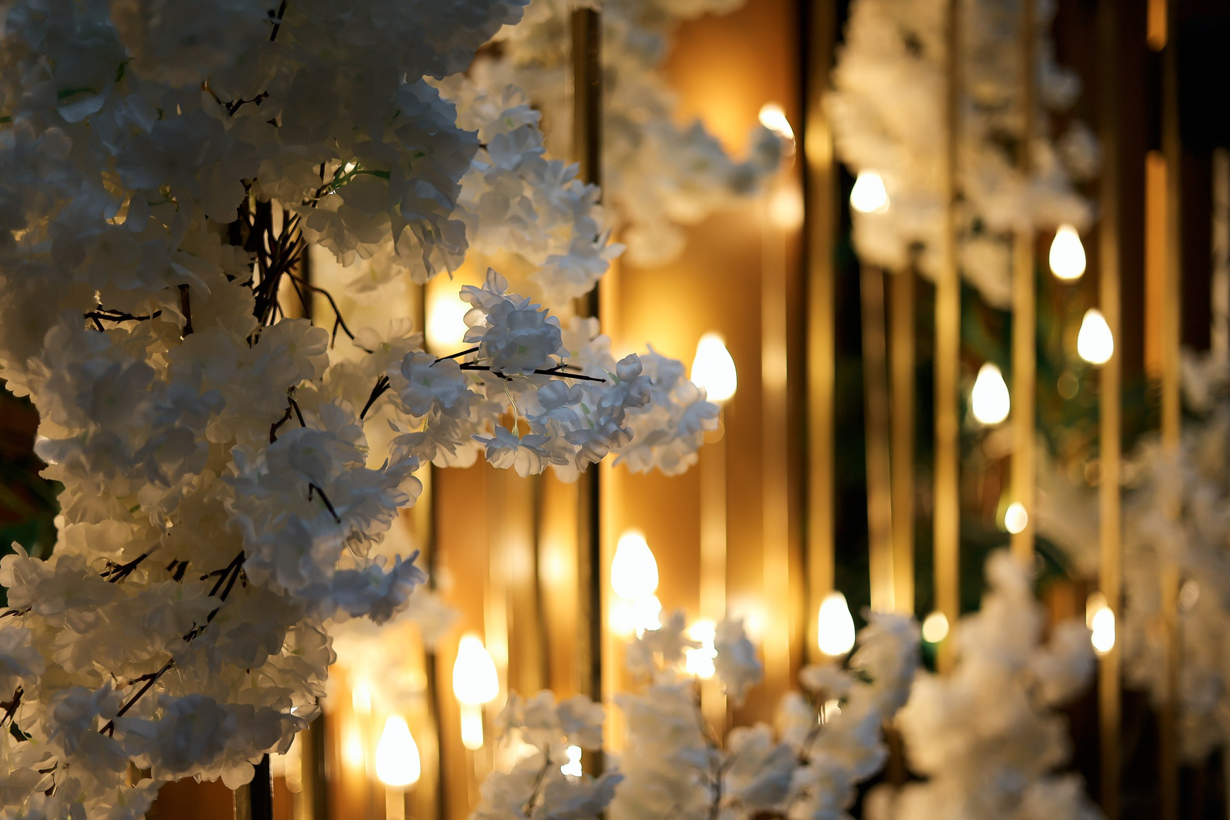 Надежда и Олег. 2025. Свадебный фотограф Великий Новгород Станислав Кособудский