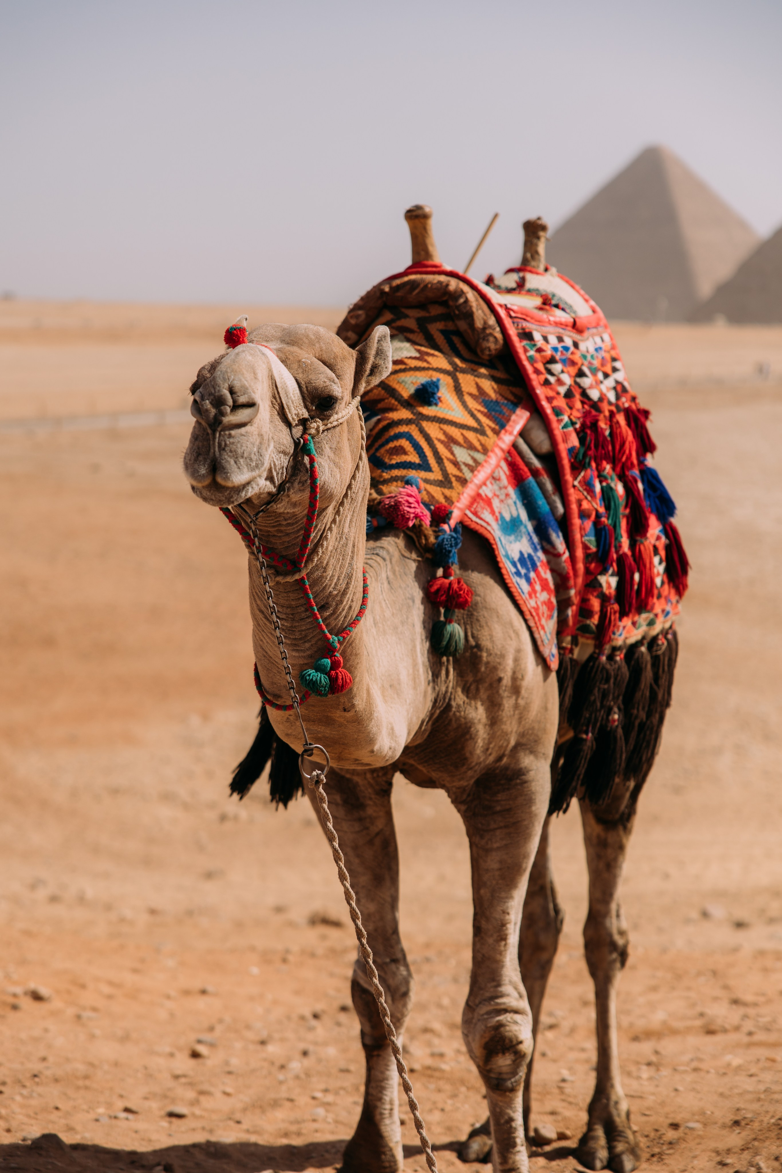 ФОТО ТУРЫ ПО МИРУ. Фотограф Марина Аблаева-Кожедуб