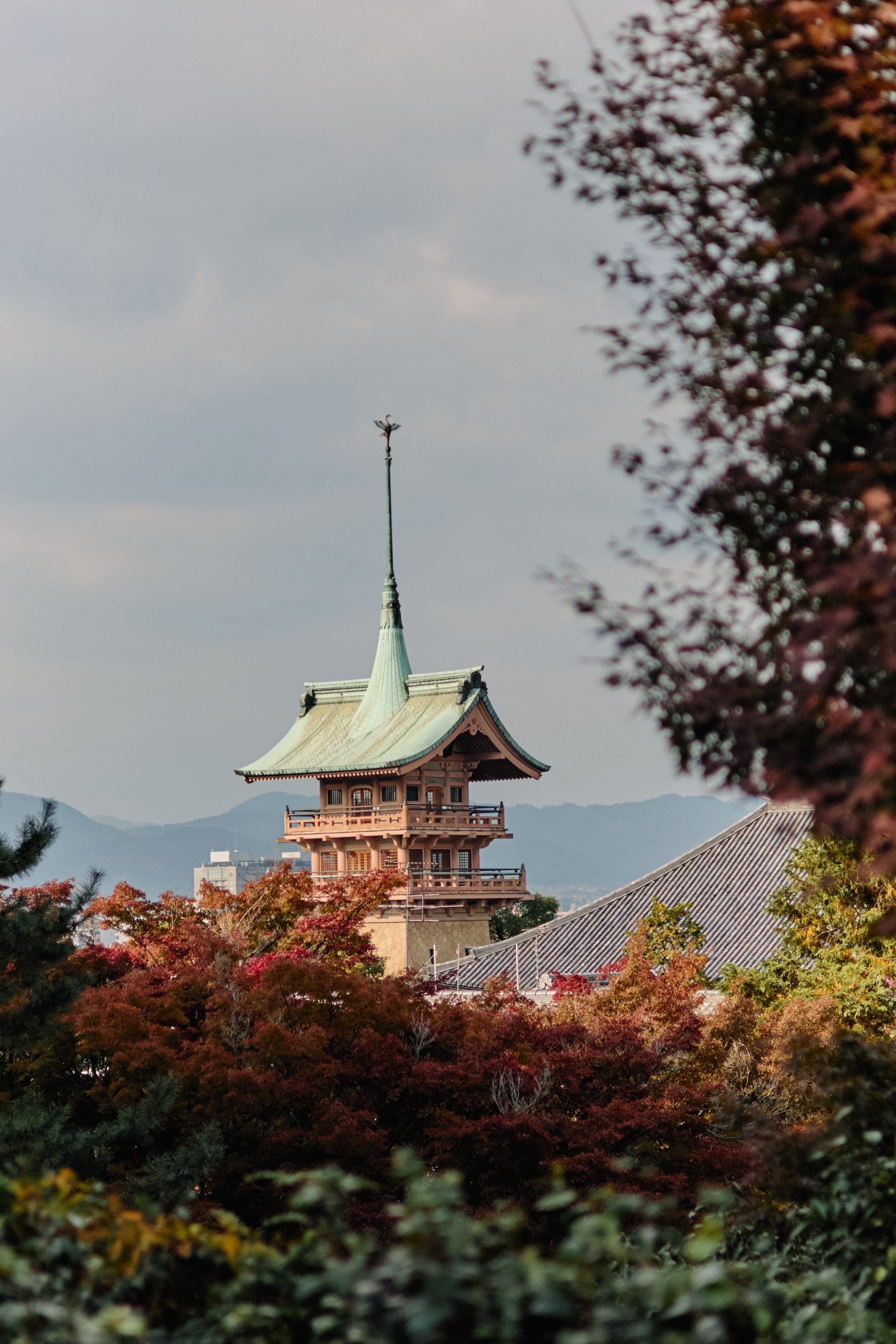 Япония. Профессиональный Фотограф во Владимире, в Москве и в Суздале — Полина Романычева