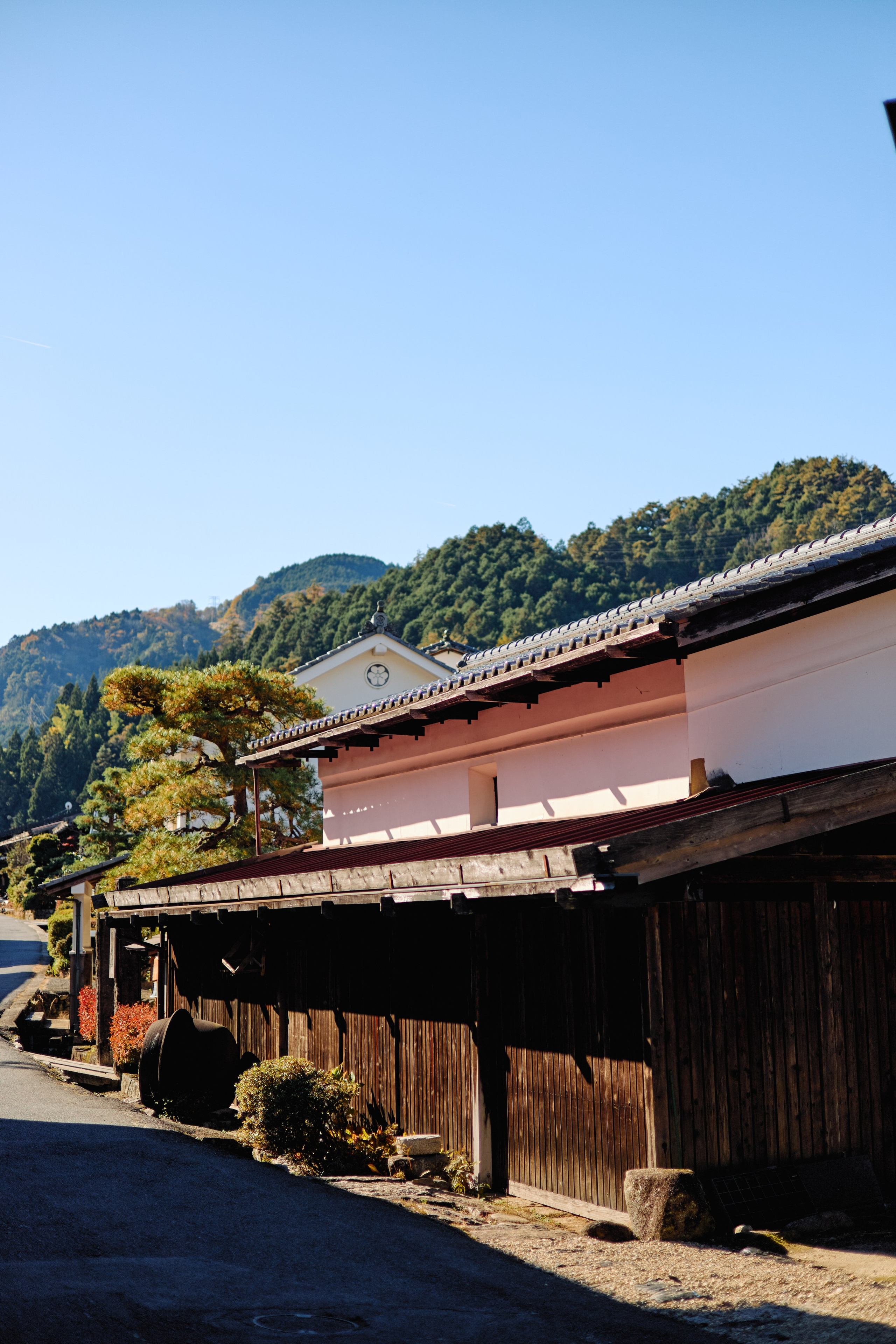 Япония. Профессиональный Фотограф во Владимире, в Москве и в Суздале — Полина Романычева