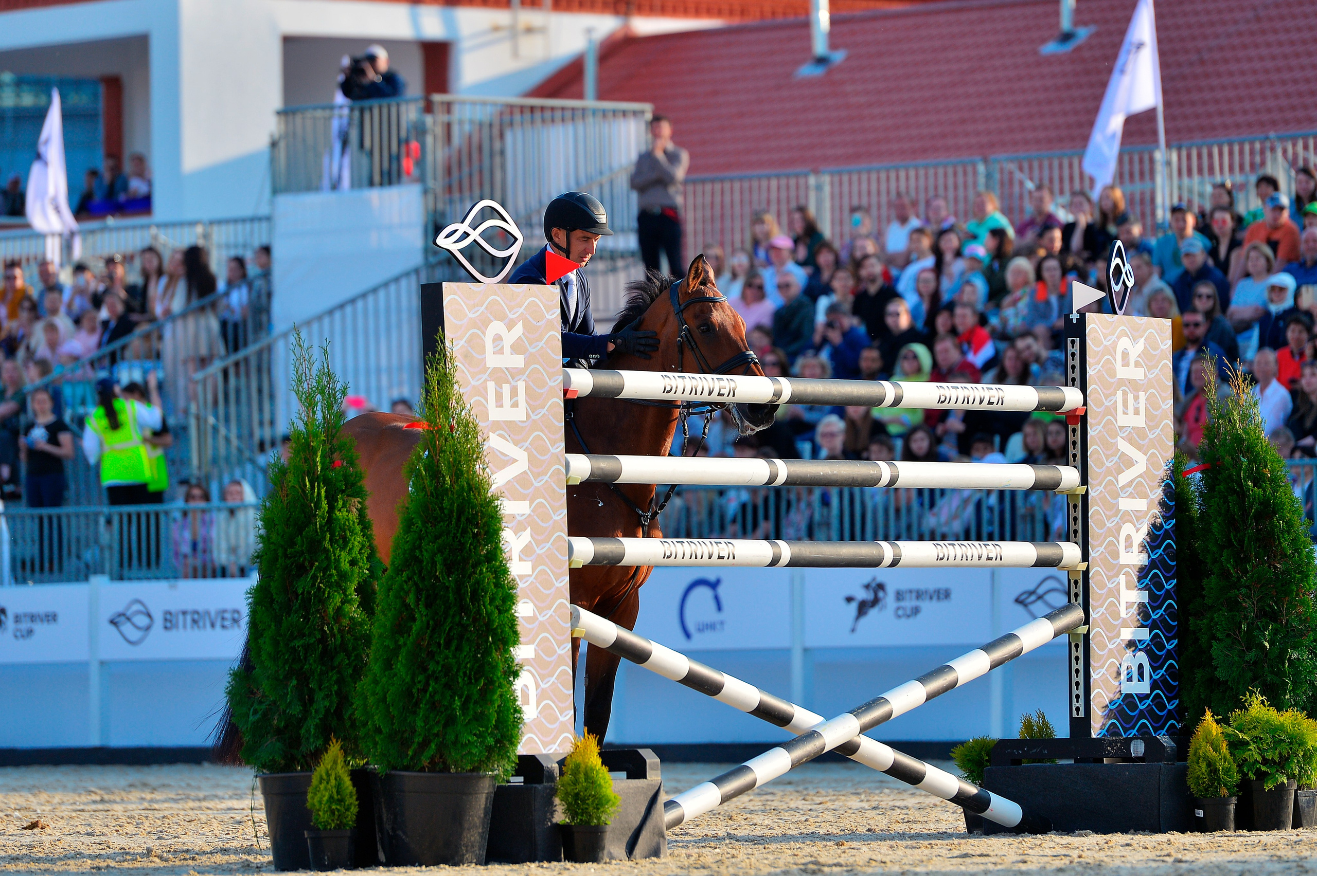 Репортаж Bitriver. Конный фотограф Alesya Safe