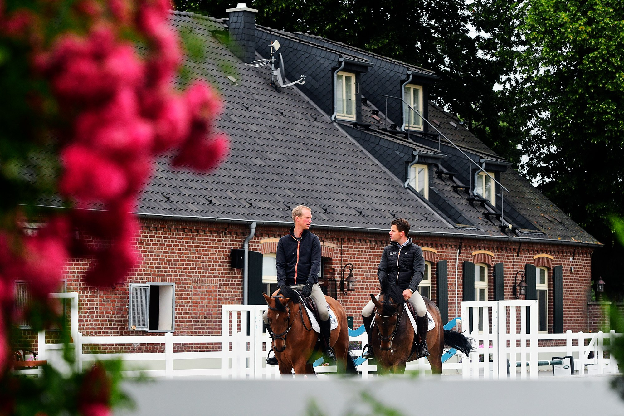 ЕС. Конный фотограф Alesya Safe