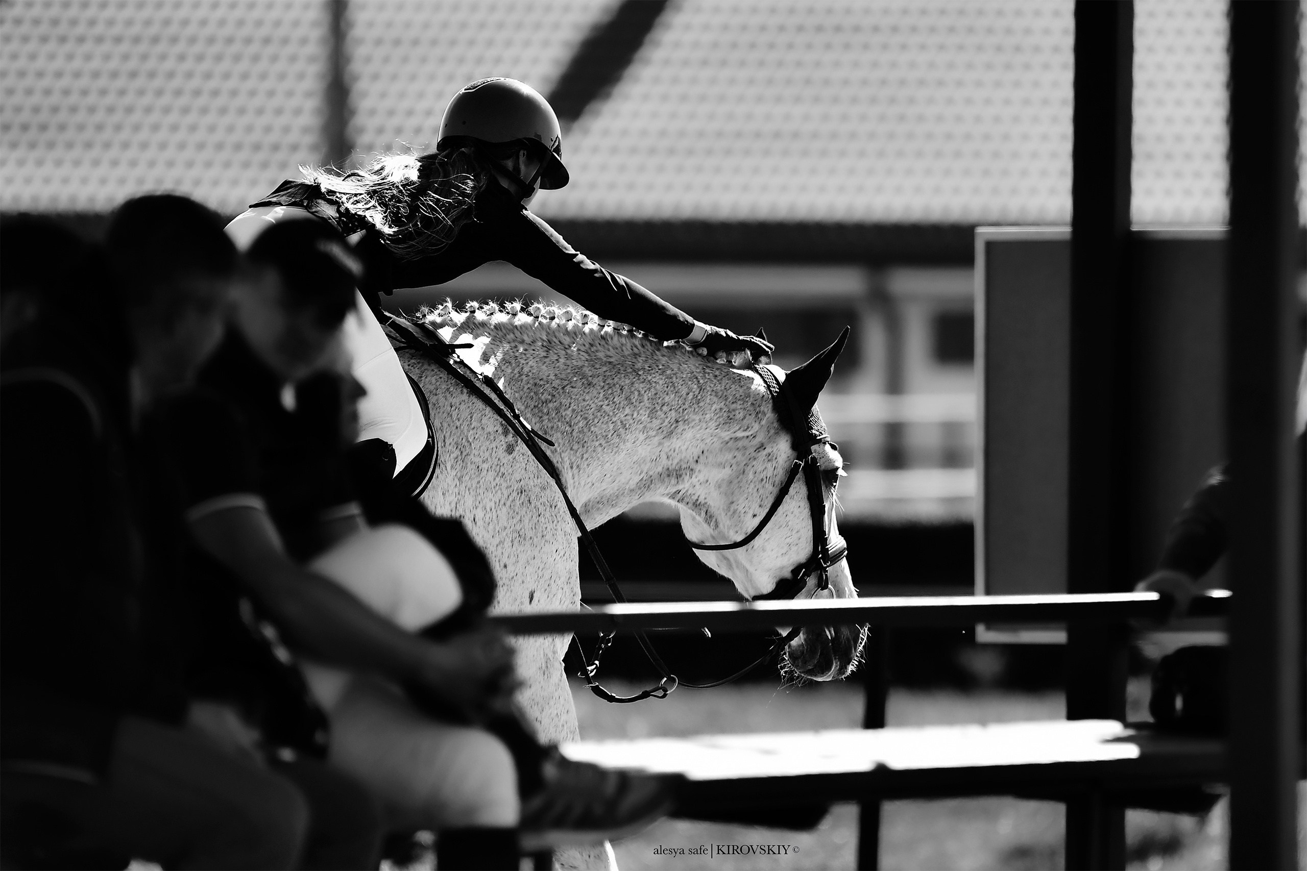 Кировский конный завод. Конный фотограф Alesya Safe