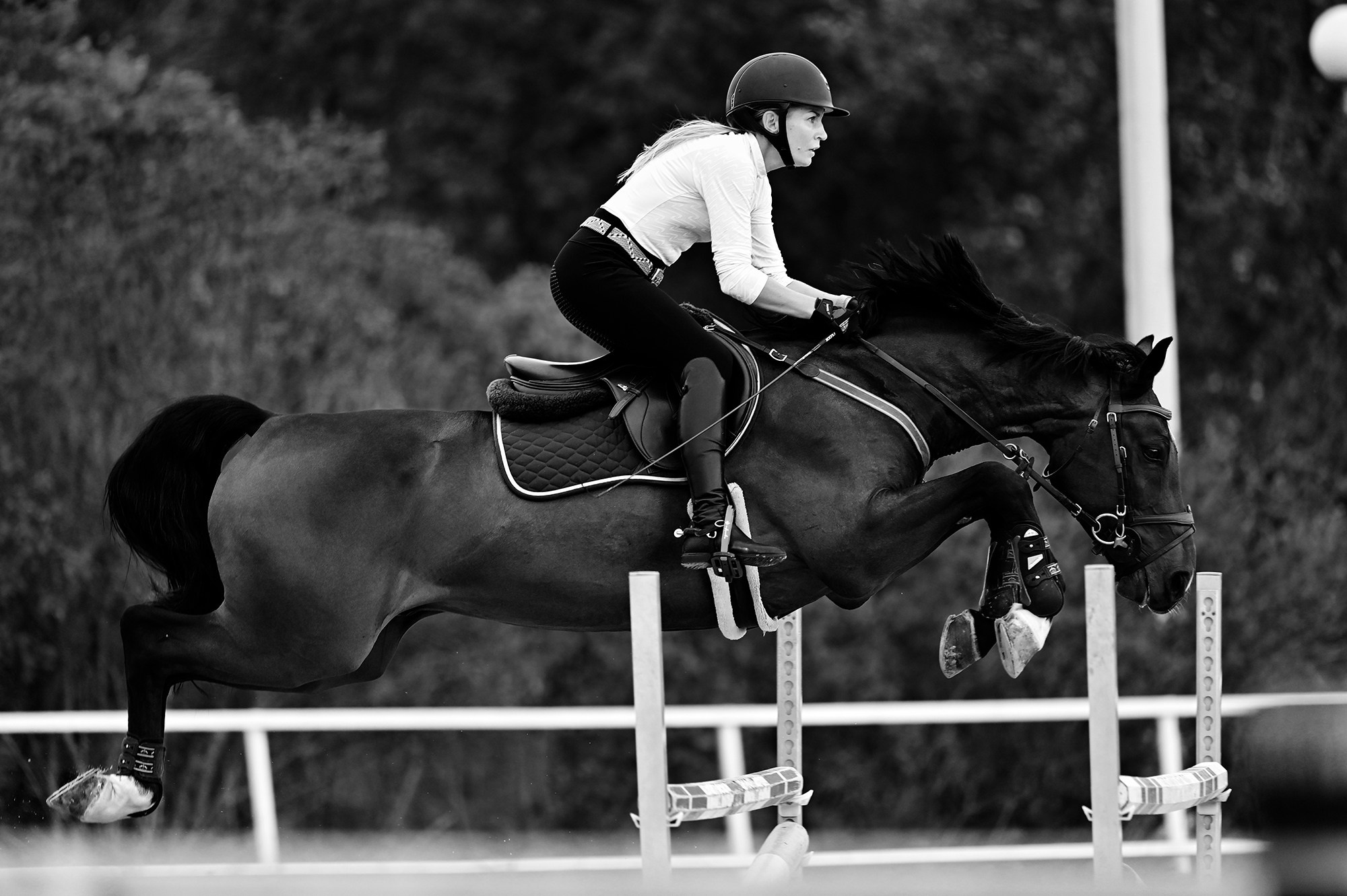 Тренировки. Конный фотограф Alesya Safe