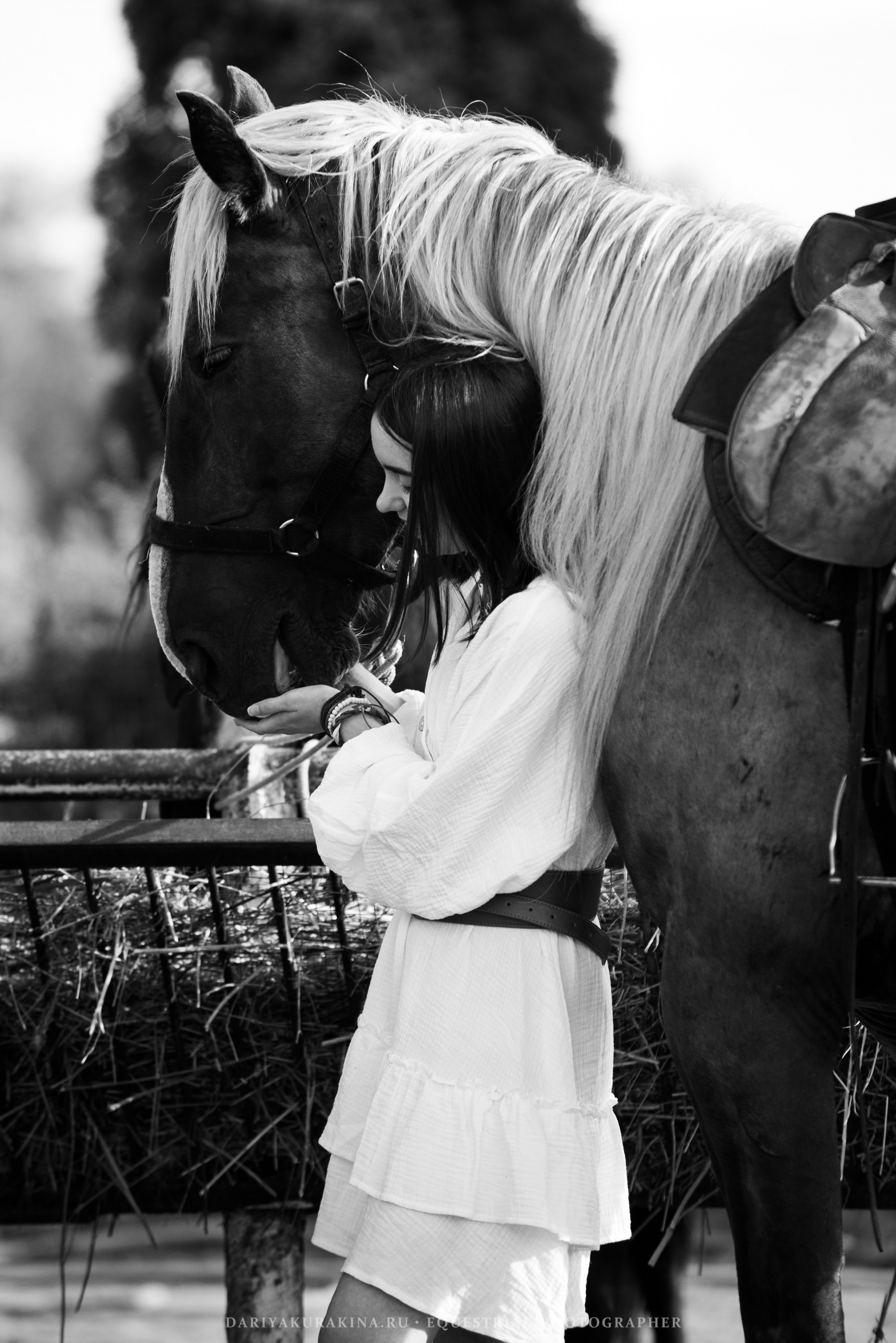 Алиса — Аванпост. Конный фотограф Куракина Дарья • Фотосессии с лошадьми