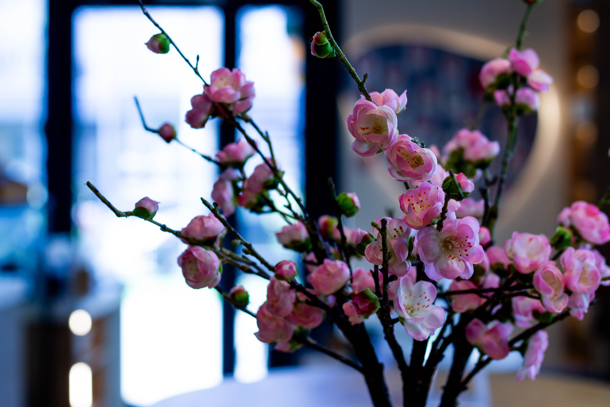 Абстракции. Mintonov's Film Studio