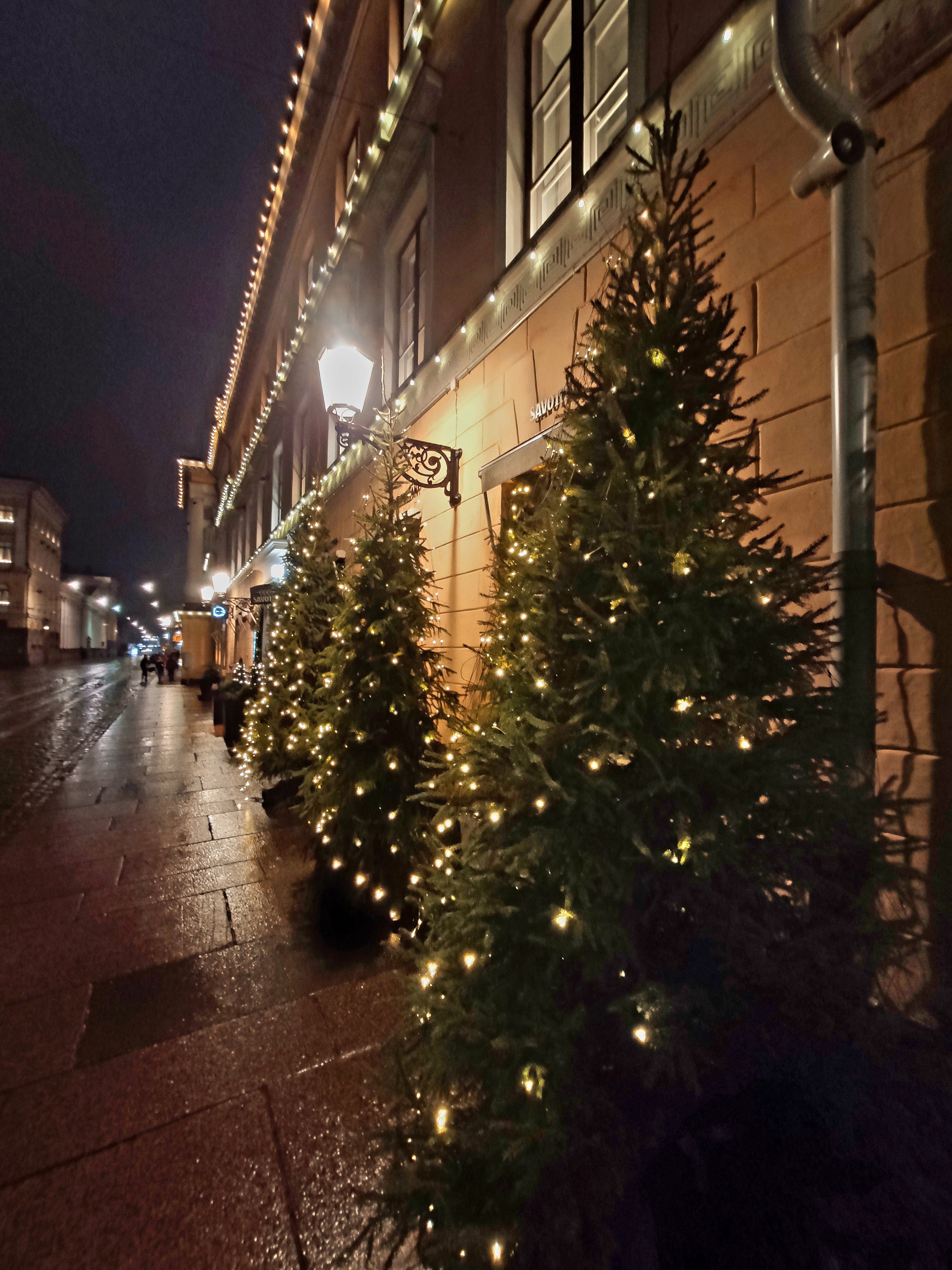 Бесснежный город с елками под дождем выглядит забавно
