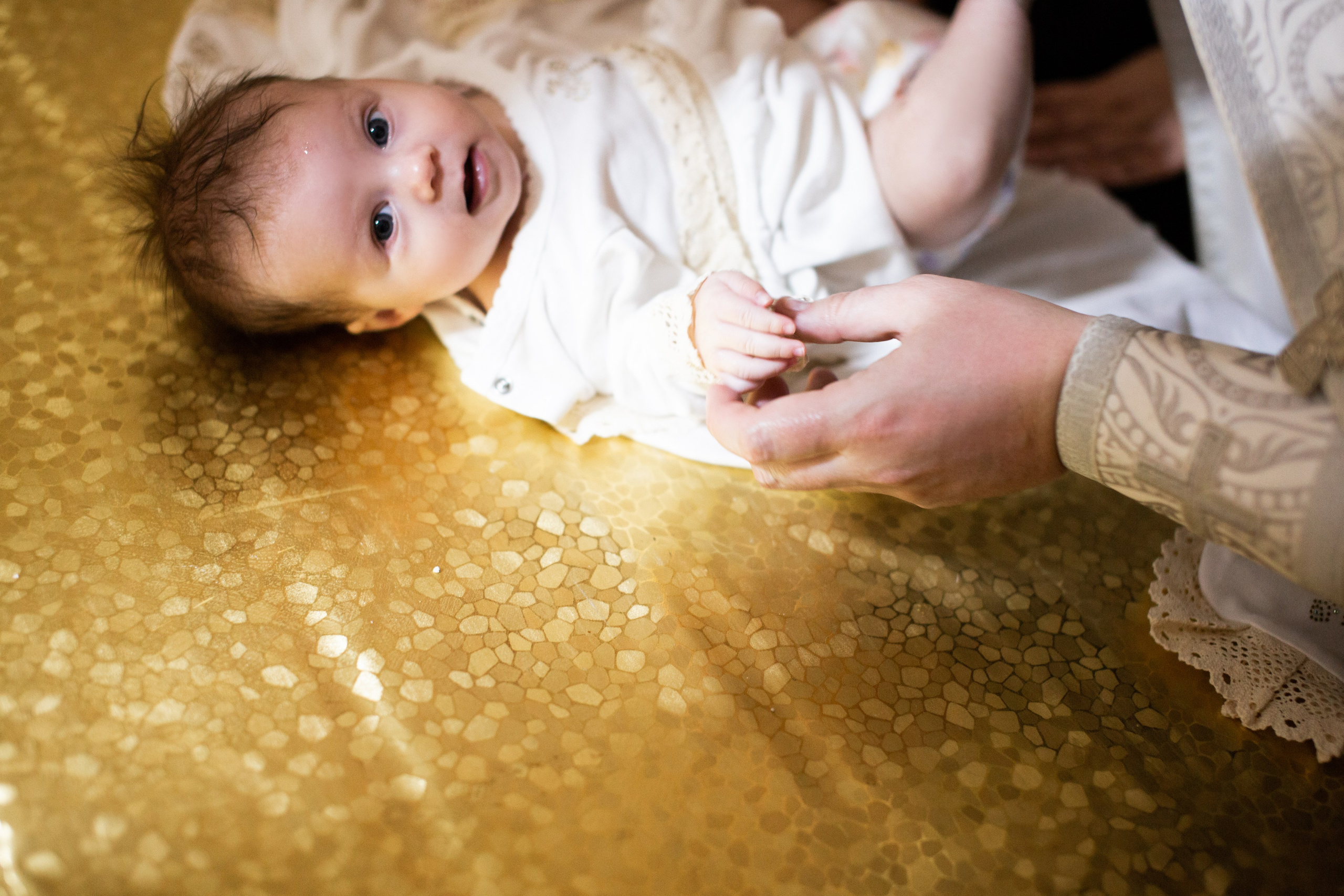 2/02/23. Фотограф НатаФото (Наталья Яковенко) Дмитров Москва Питер