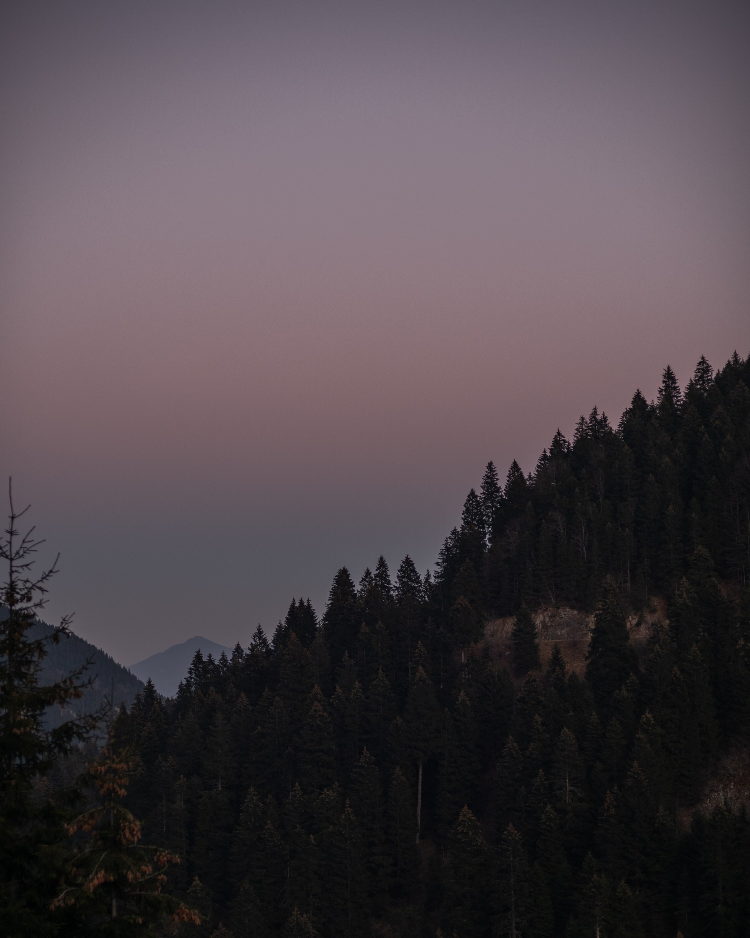 Turkey. Photographer in Tokyo Anatolii Ozarto