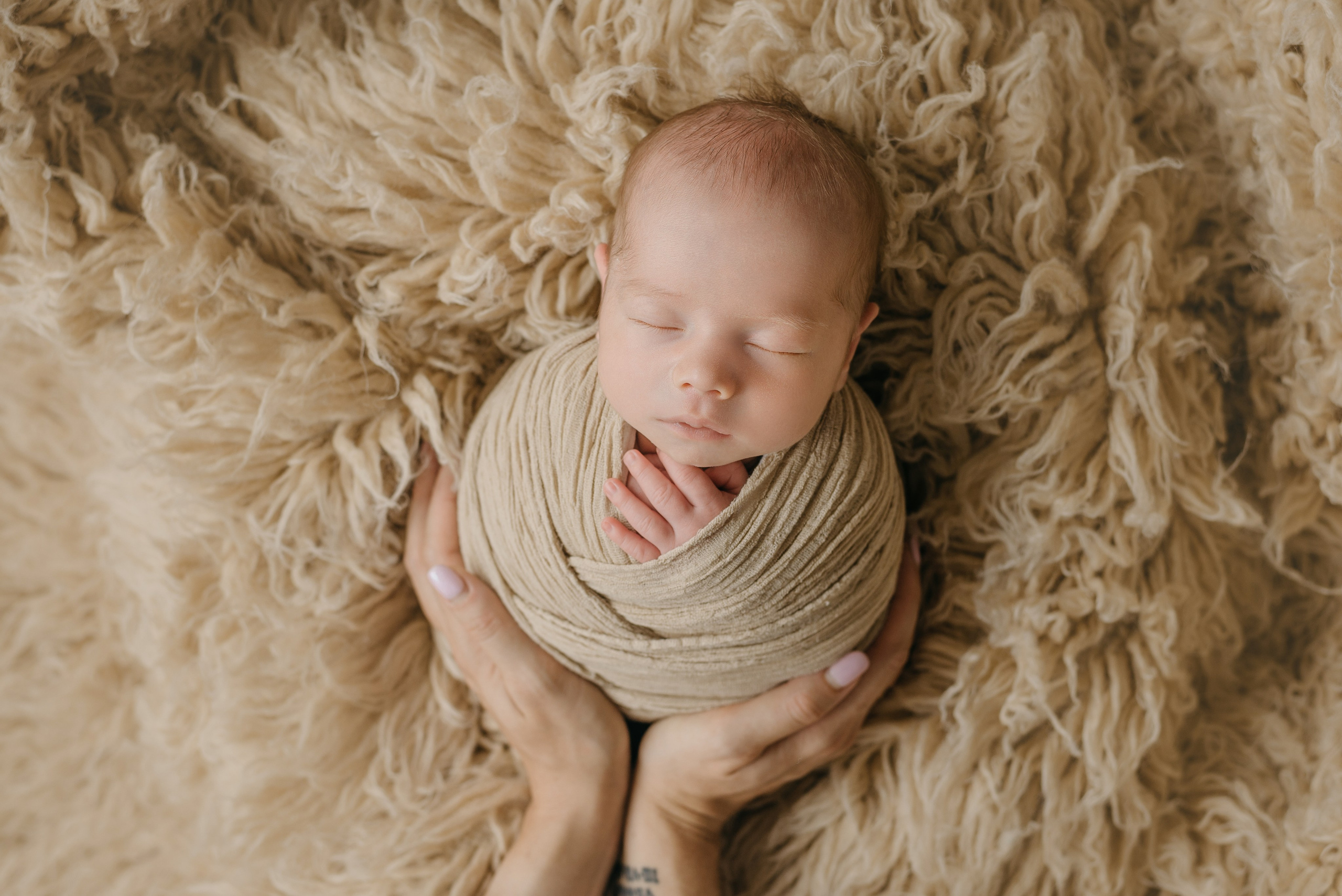 Даня. Фотограф новорожденных Белгород