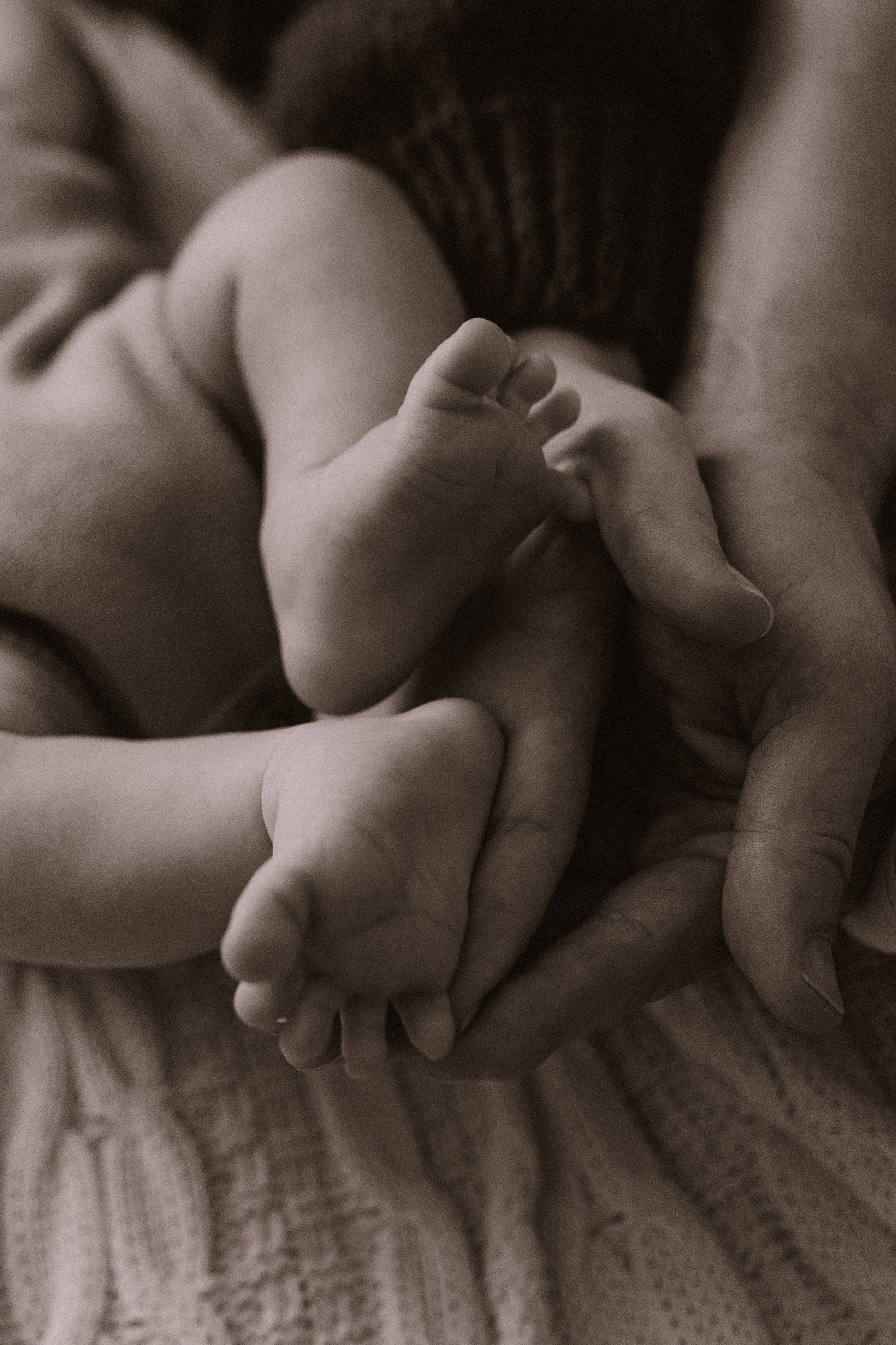 Первое Рождество Ярослава. Семейный фотограф в Новороссийске и Анапе Александра Яковлева