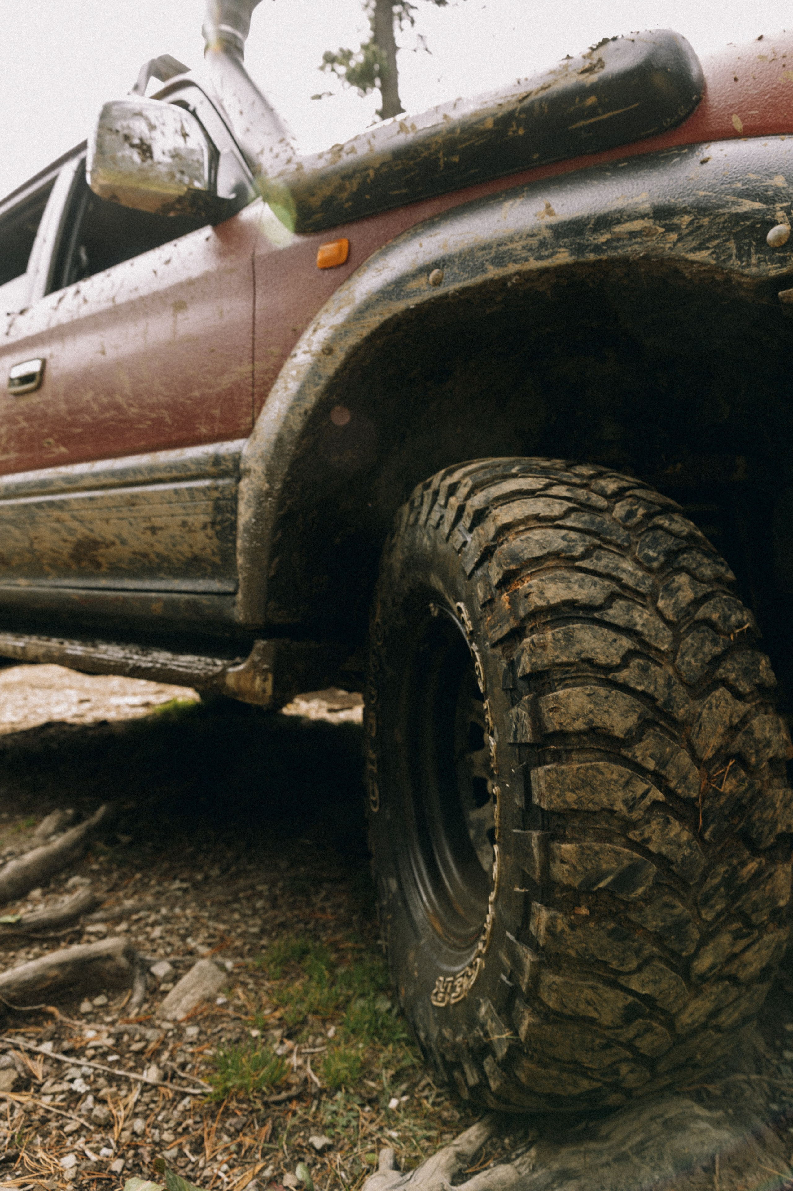 Алтай, природа и эстетика. Александр Чернин. Семейный и событийный фотограф