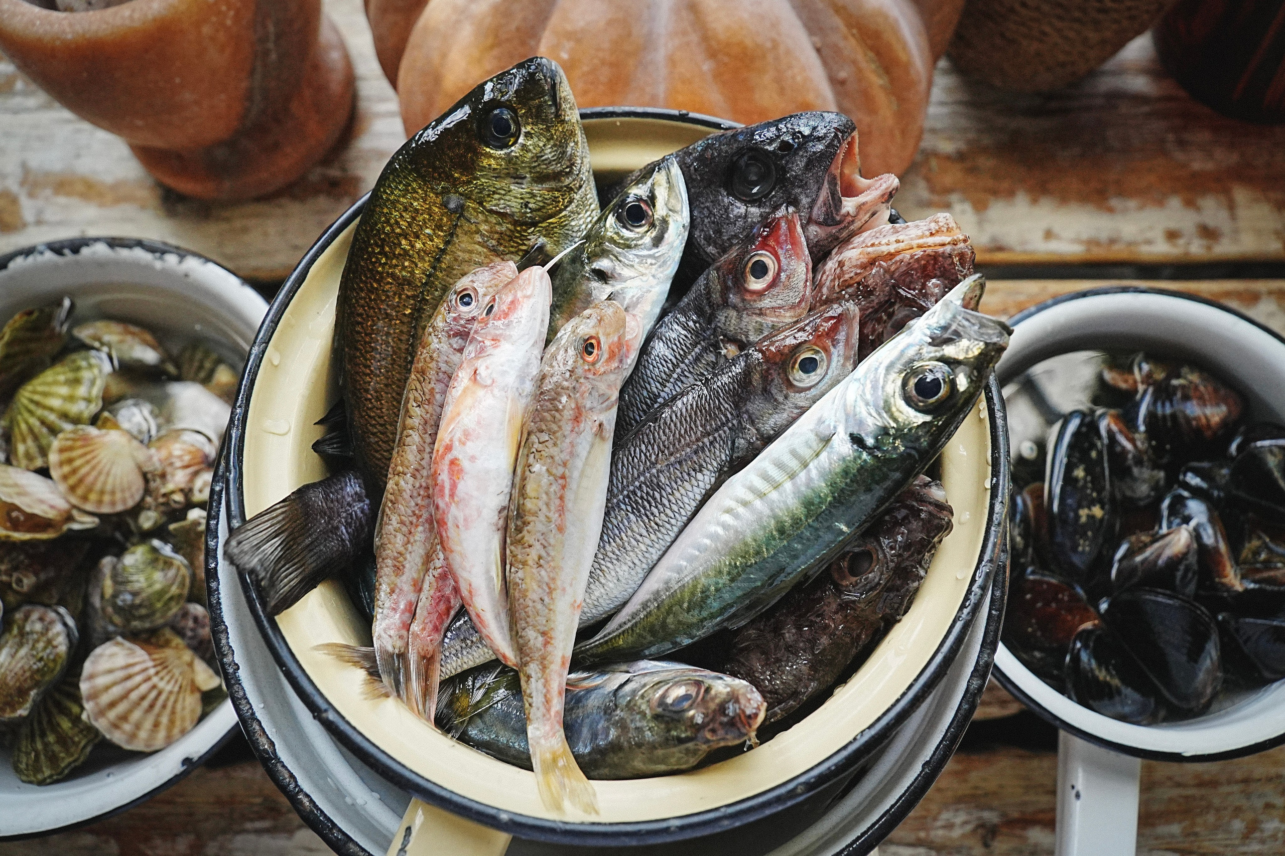 Фотосессия для рыбного ресторана. Фотограф в Крыму Алевтина Швец