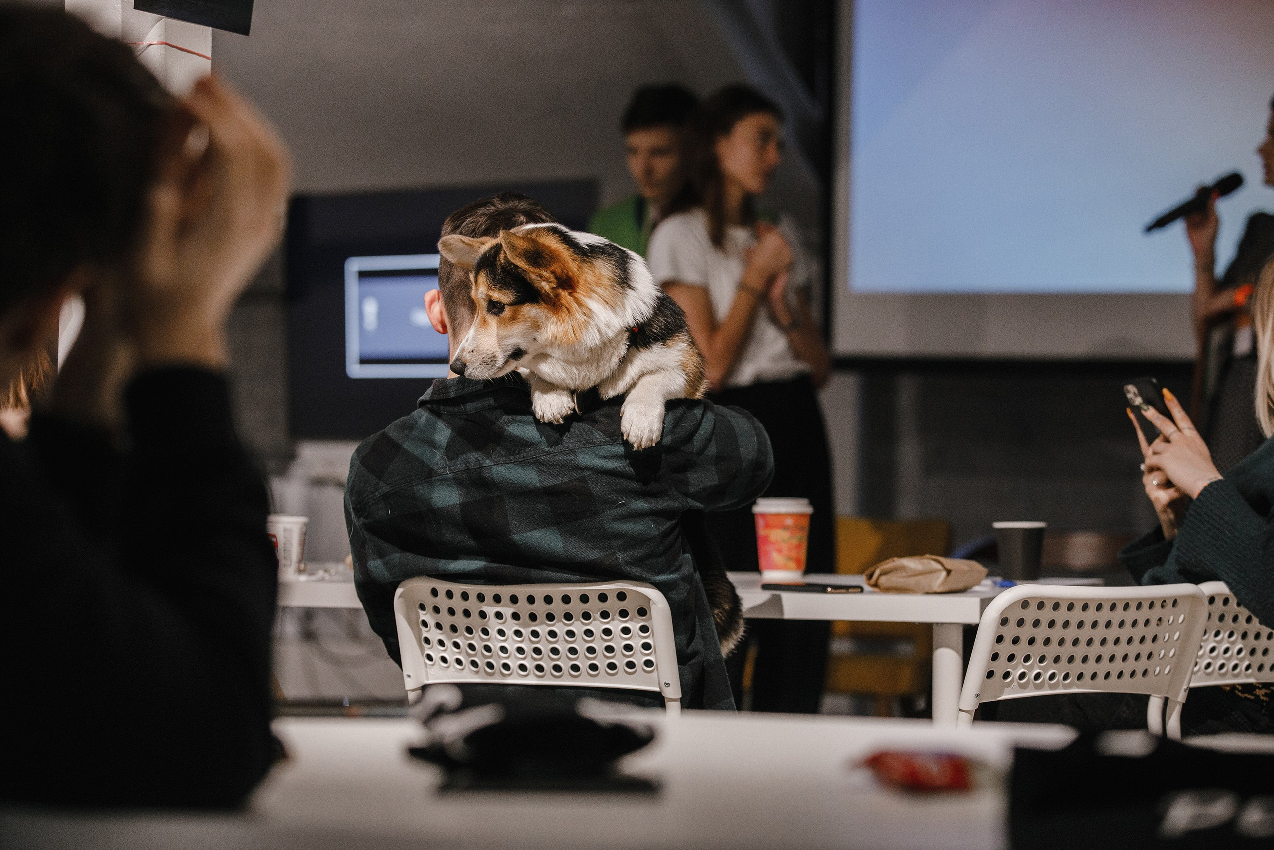 17.10.2021 // Дог-френдли день в Артплей. Фотовыставки serebro.gallery, в которых автором можешь стать ты! | Москва