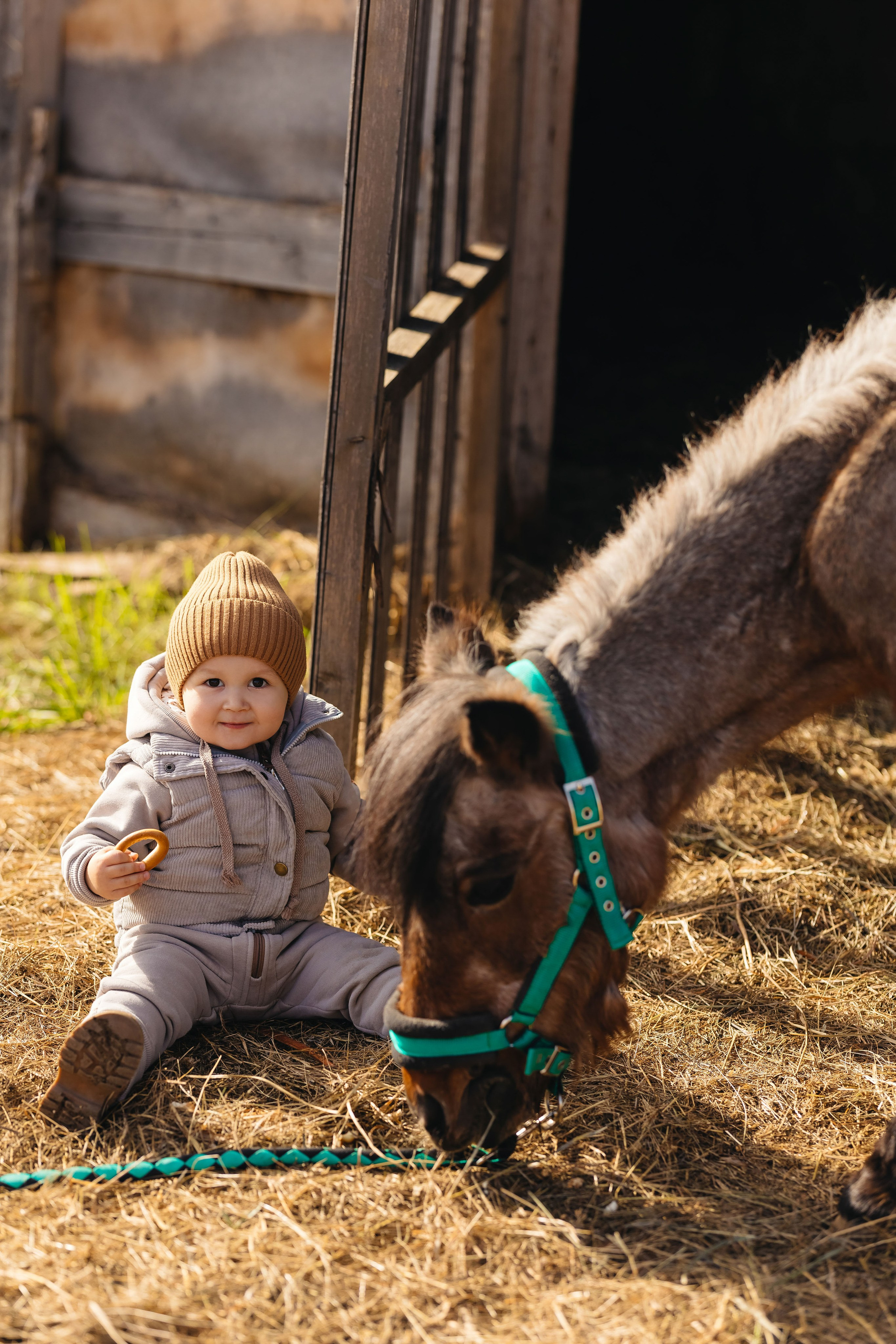 2024.10.02 Илья и лошадка. Ирина Бешляга. Фотограф в Москве и по всей России