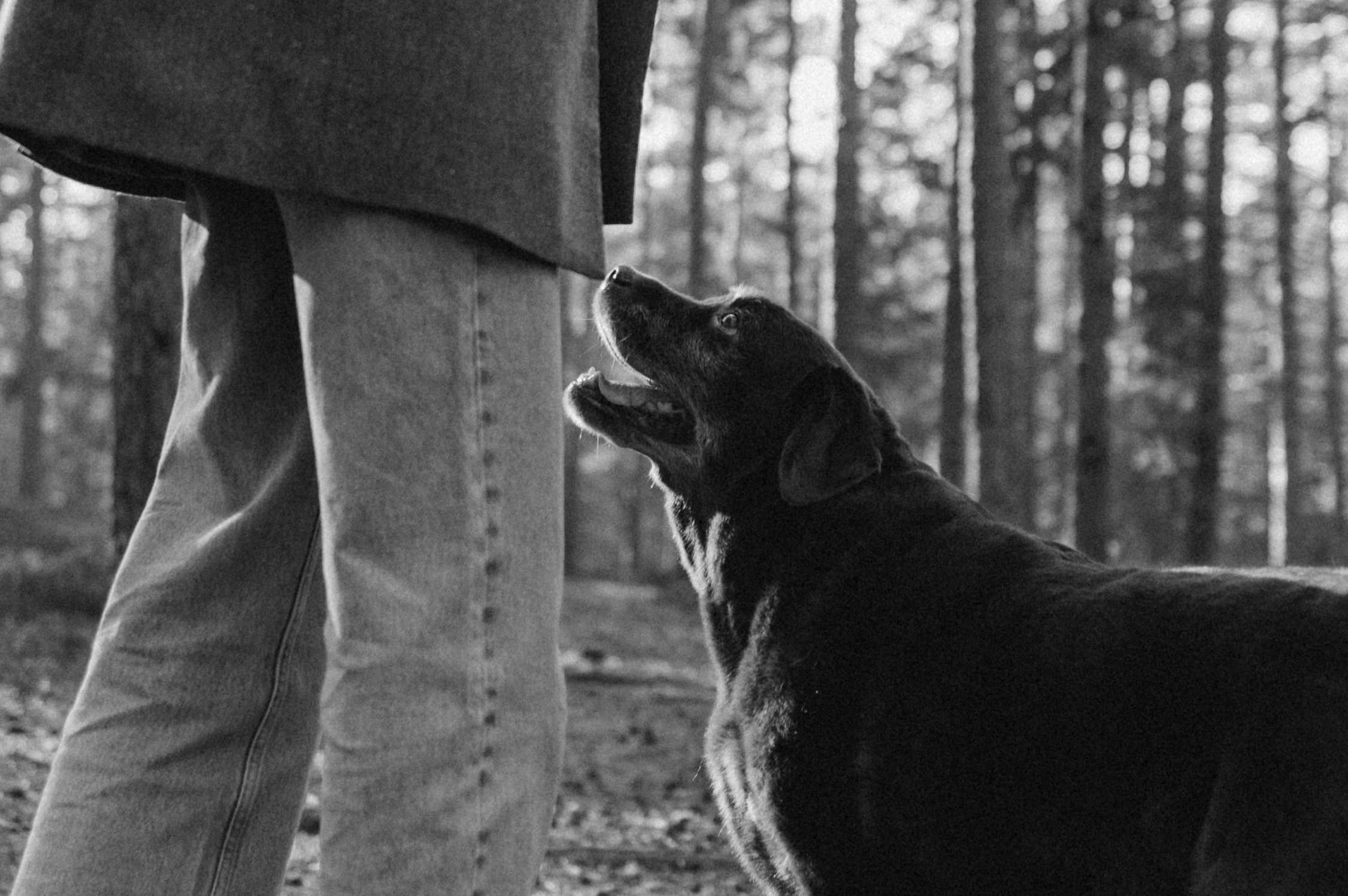 Оля и Питоня. Фотограф — Анималист | Санкт-Петербург