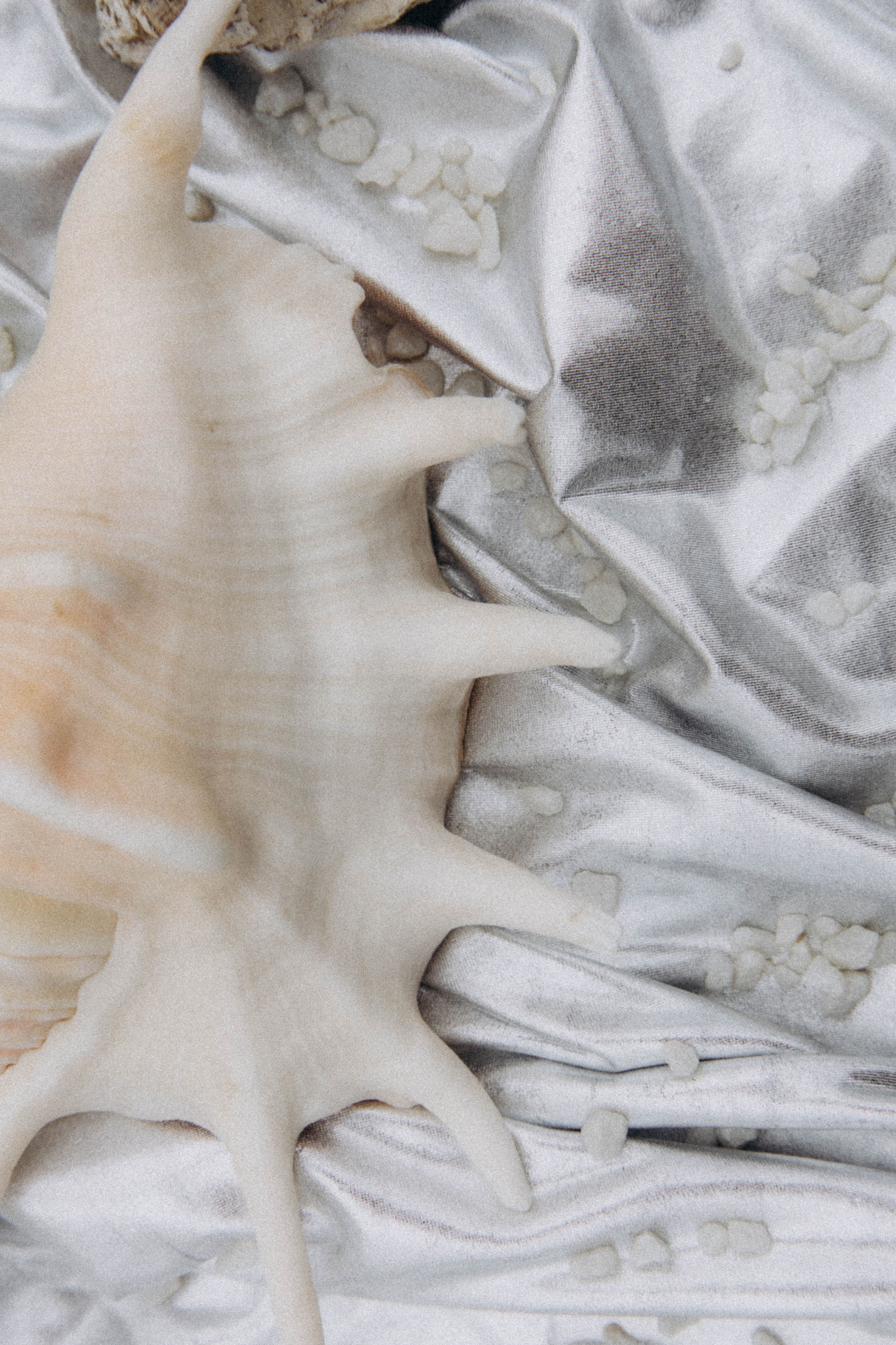 Александр и Полина. Свадебное агентство Amorewed Agency