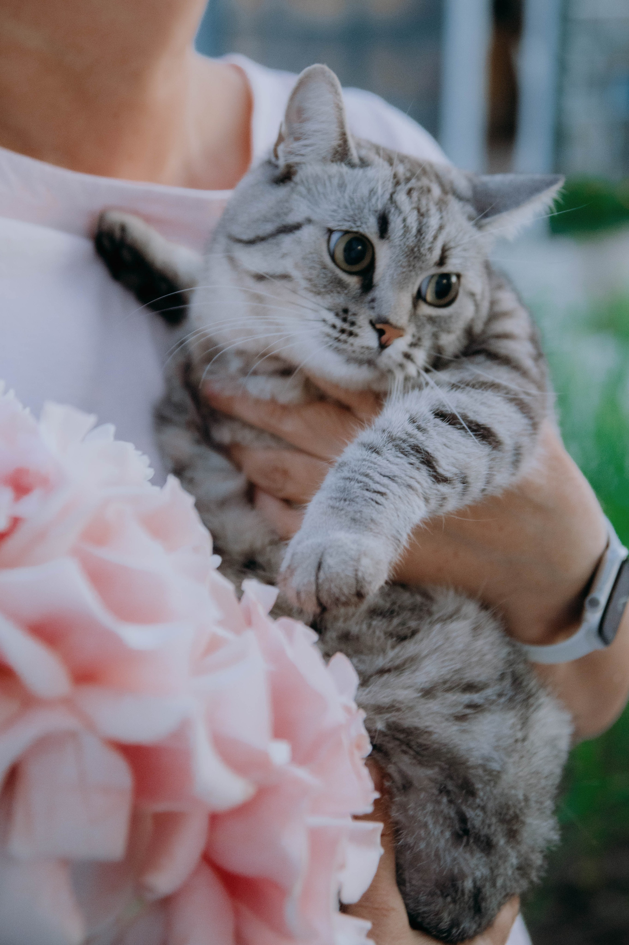 Valeri & Girls <3. Фотограф в Москве Светлана Некрасова