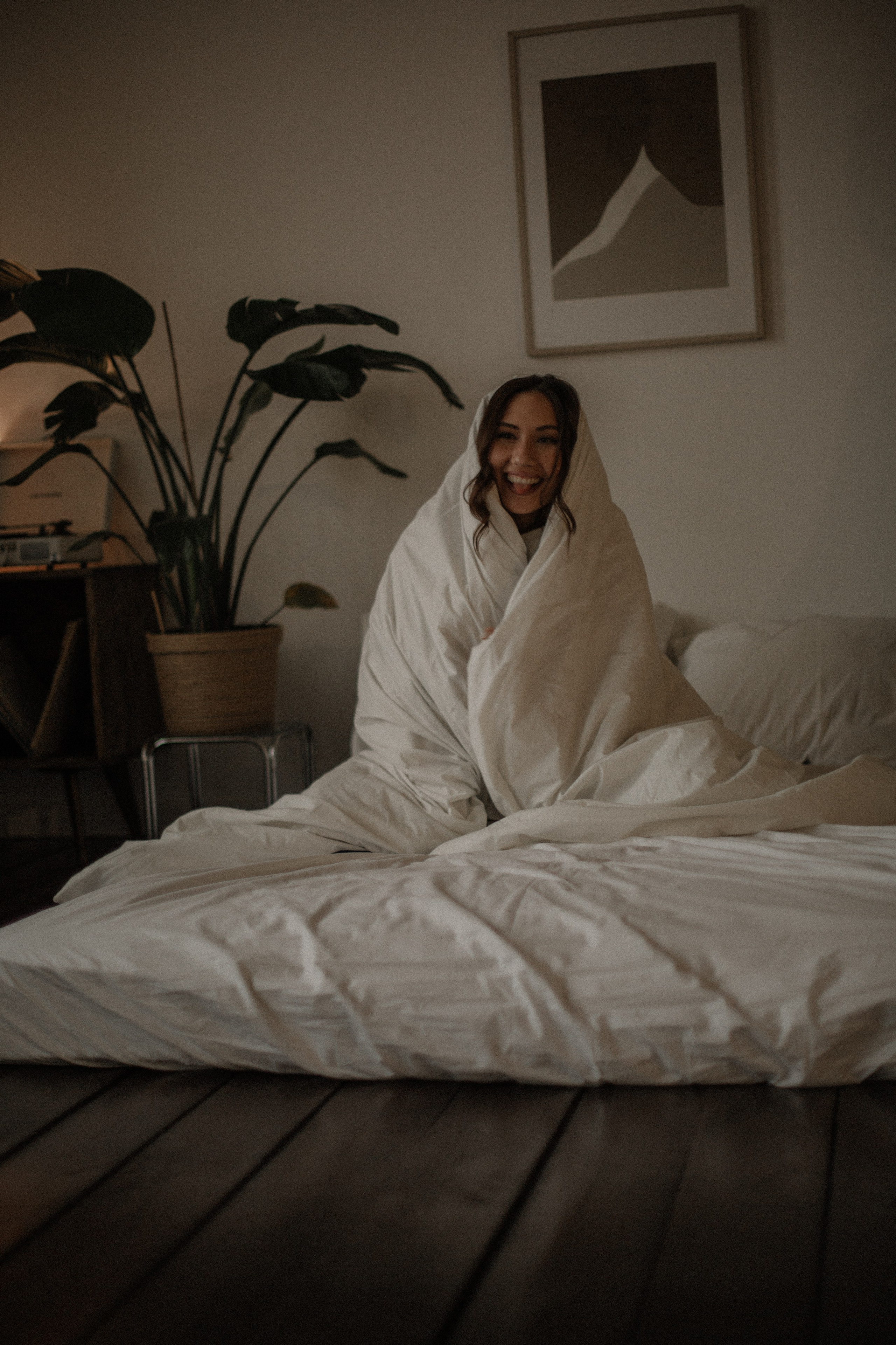 Альберт и Аделя. ГЛАВНАЯ