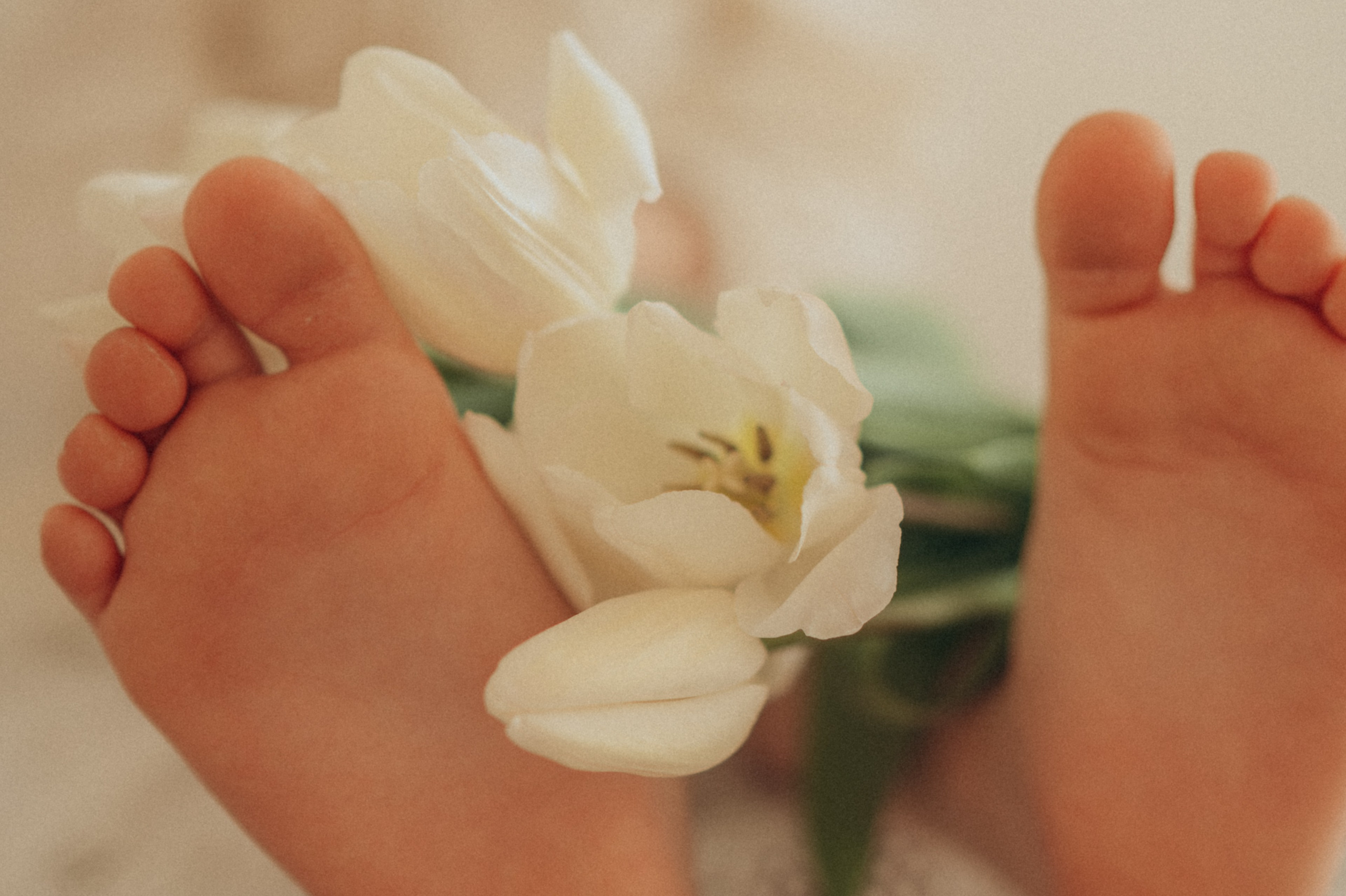 Весеннее утро. Семейный фотограф в Москве Елена Гильманова