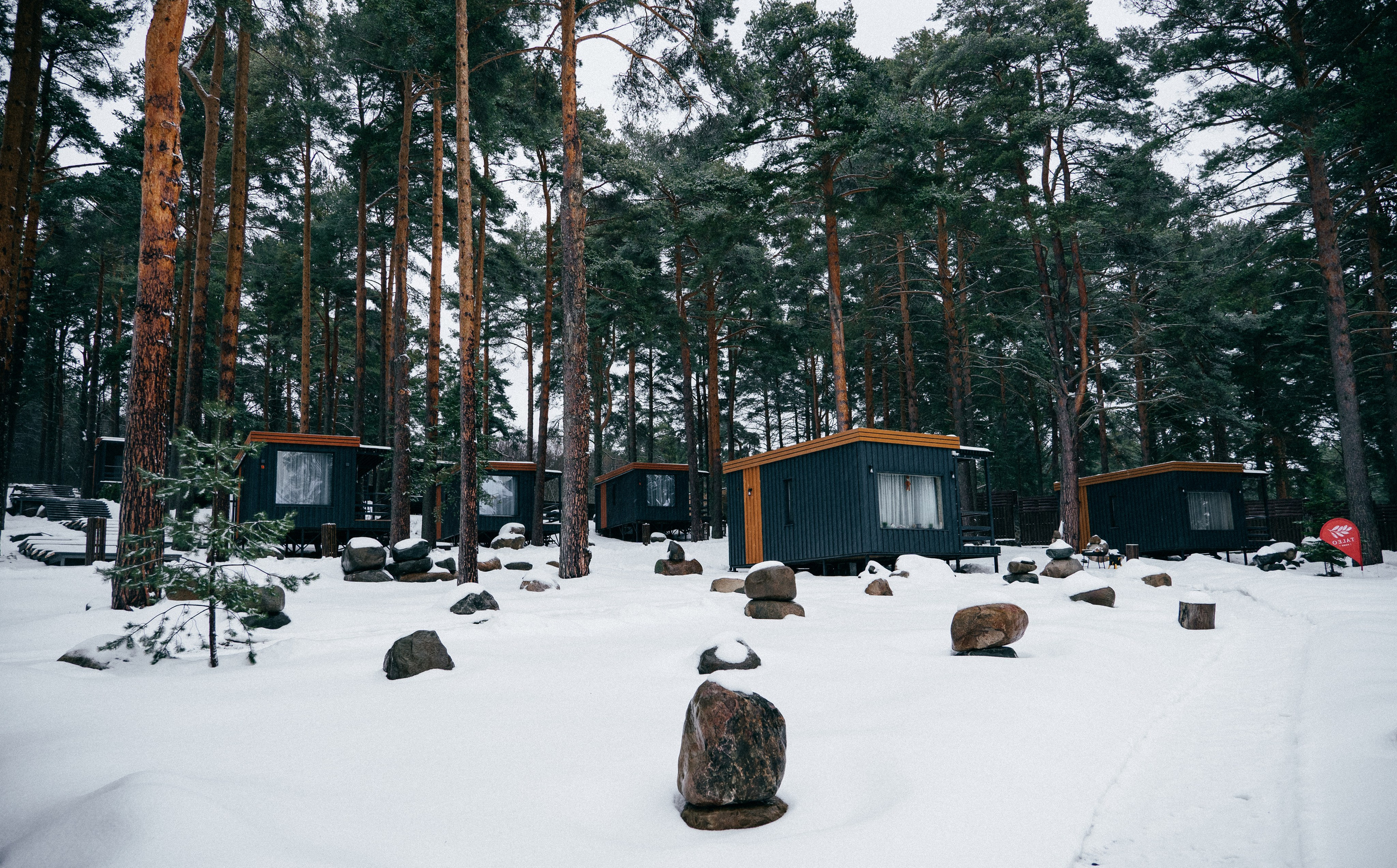 TALEO. Создание контента | Фото | Видеосъемка | Александр Ярков