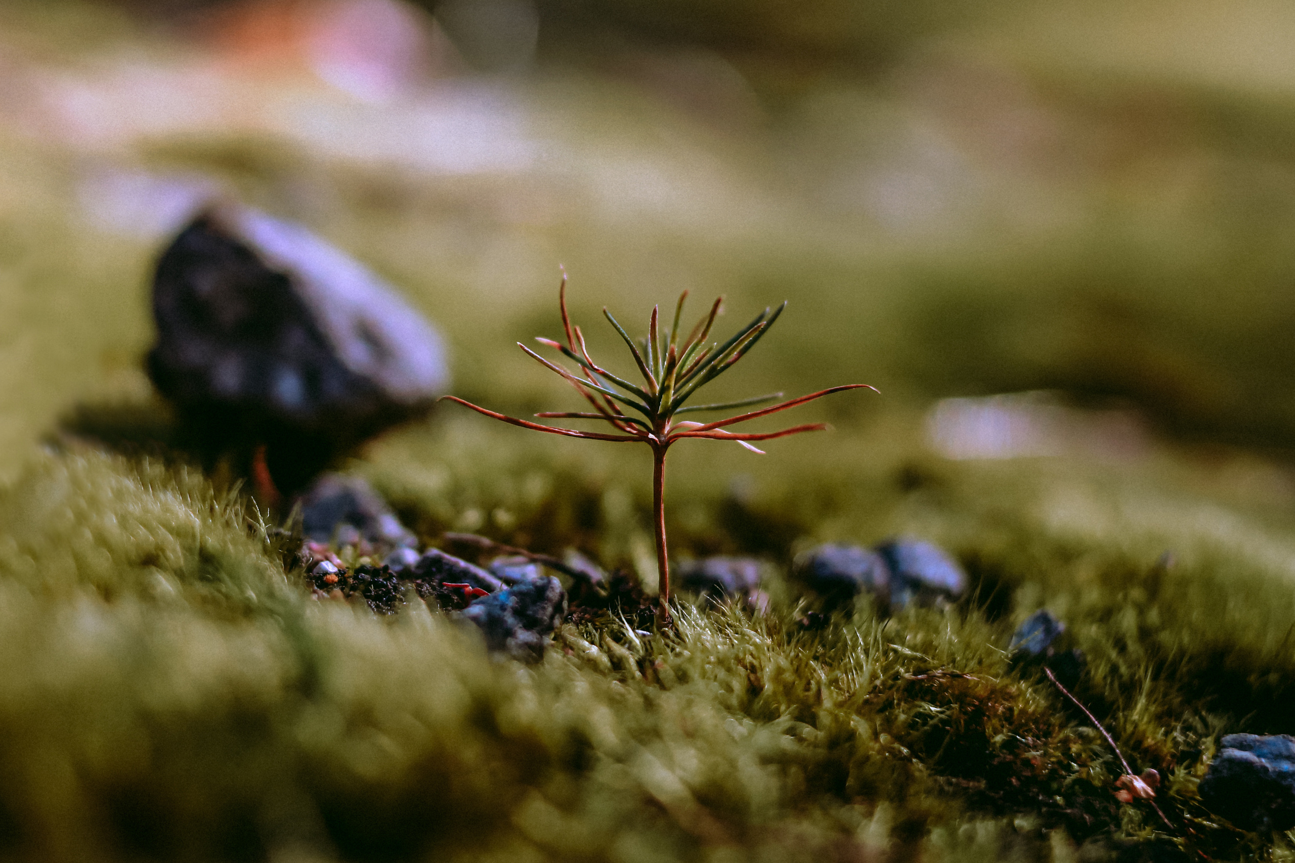 Репортаж из туров. Контент съемка Иркутск. Фотограф Анастасия Ачилова