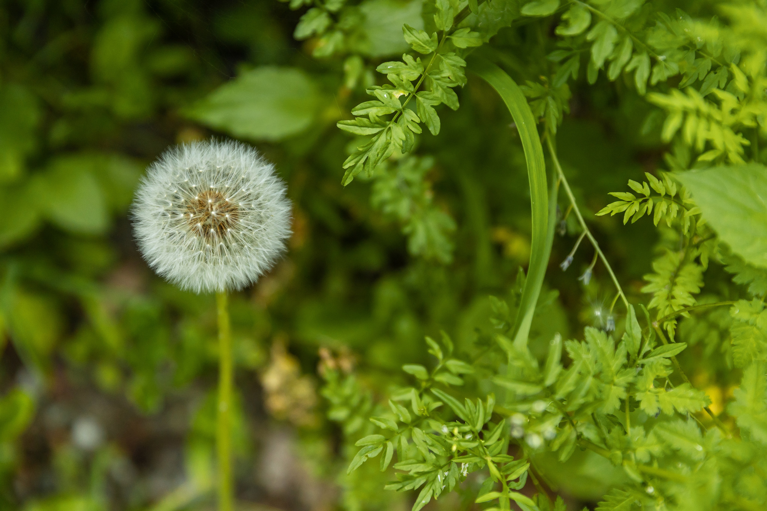АРХИТЕКТУРА / ОКРУЖАЮЩАЯ СРЕДА. Фотосъёмка Сочи, Адлер, Красная Поляна