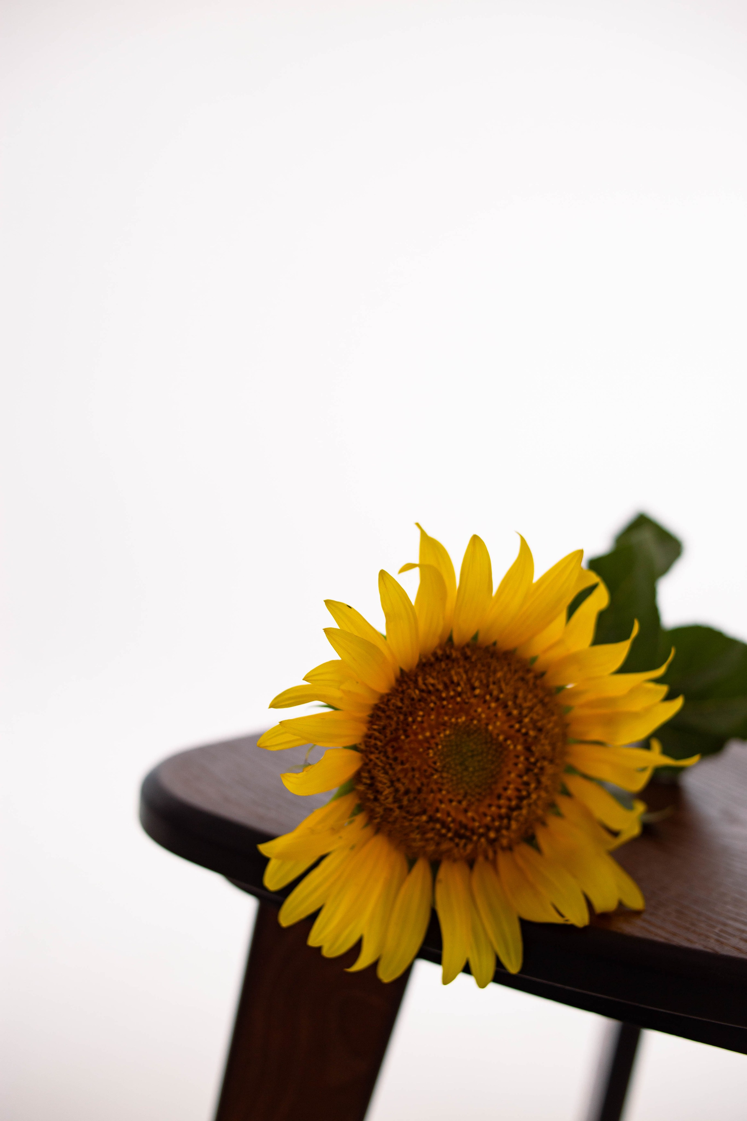 Оля. Семейный фотограф Софи Симакова в Волгограде и Волжском