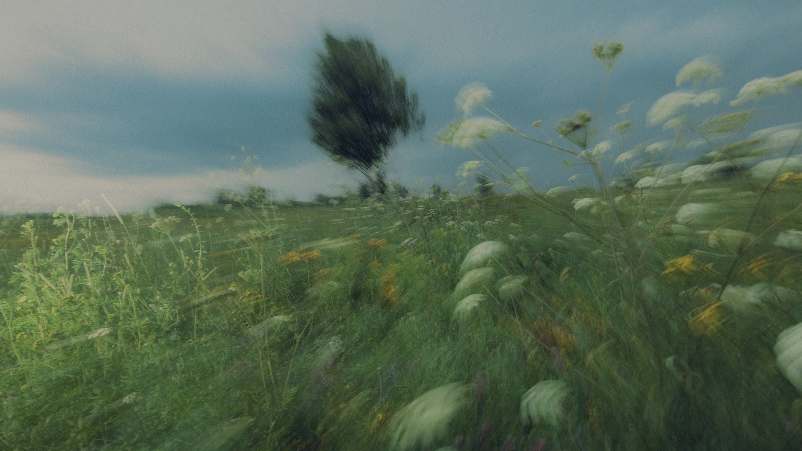 Саша Ковальчук — Репортажный Фотограф