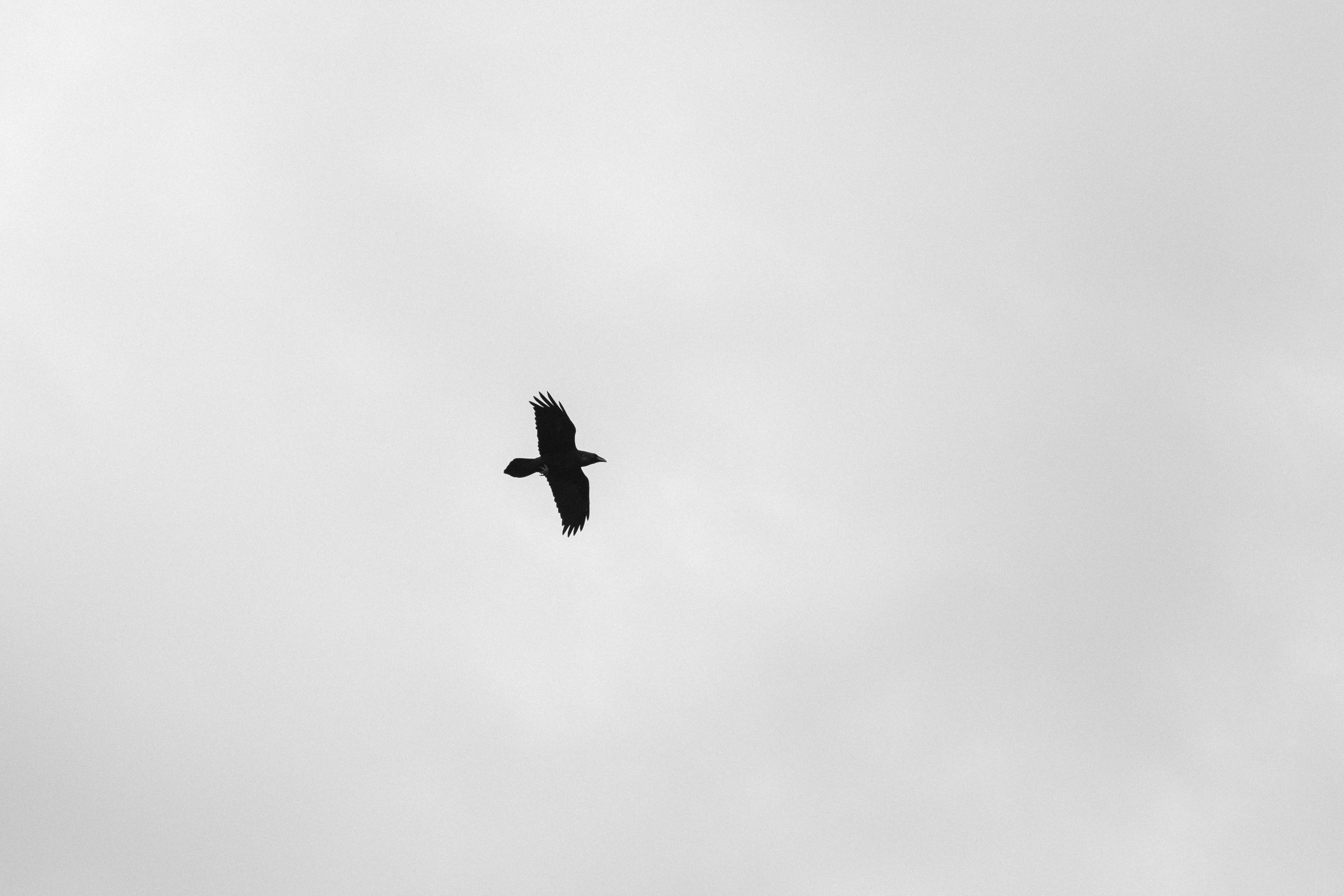 Художник, фотограф и арт-терапевт в Казани Аймалетдинова Альмира