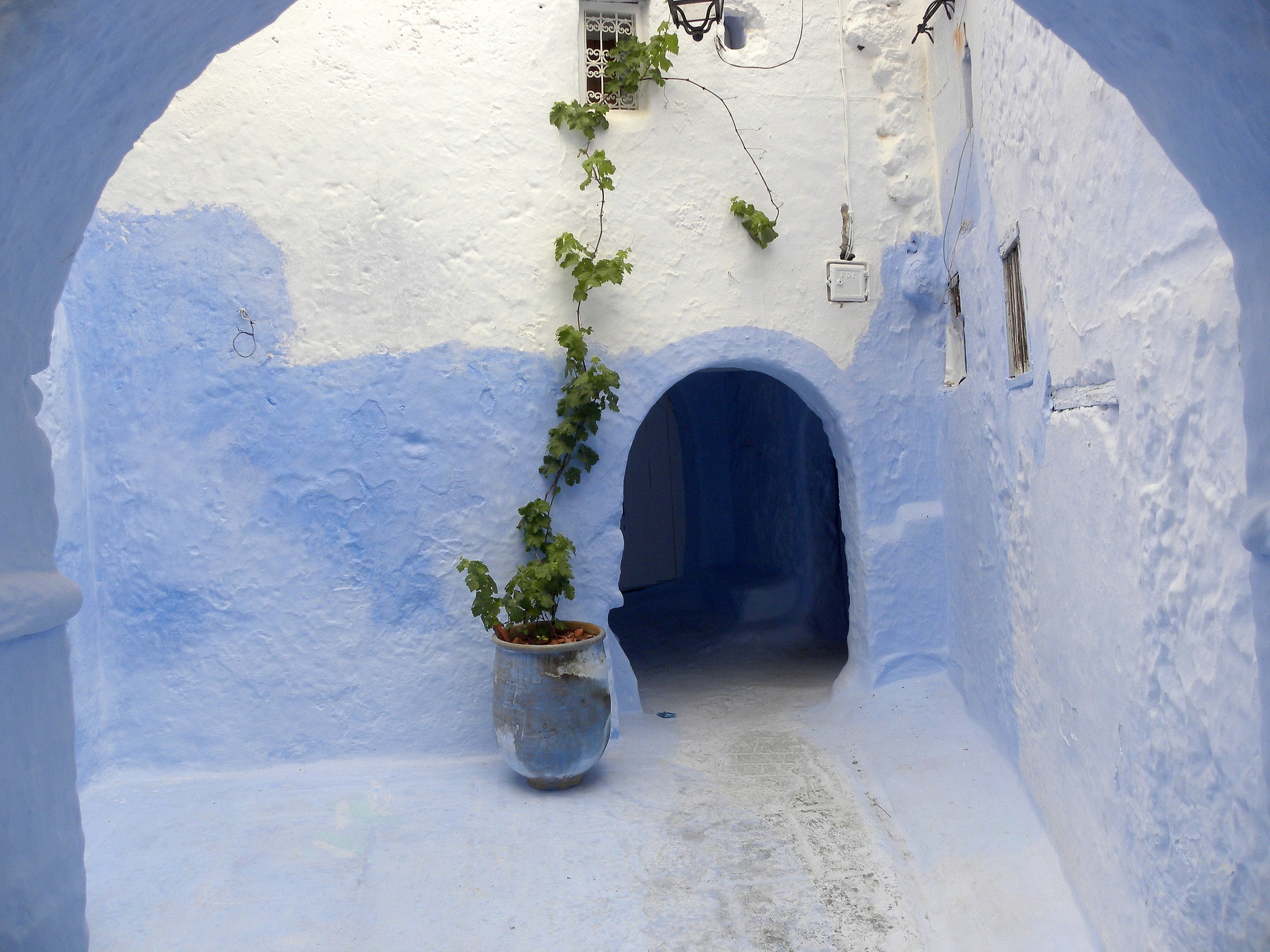 Ginnes Serran-Pagan. Художник. Скульптор. Поэт. Философ. Фотографирую масштабные события, людей и их истории по всему миру. Константин Трубников