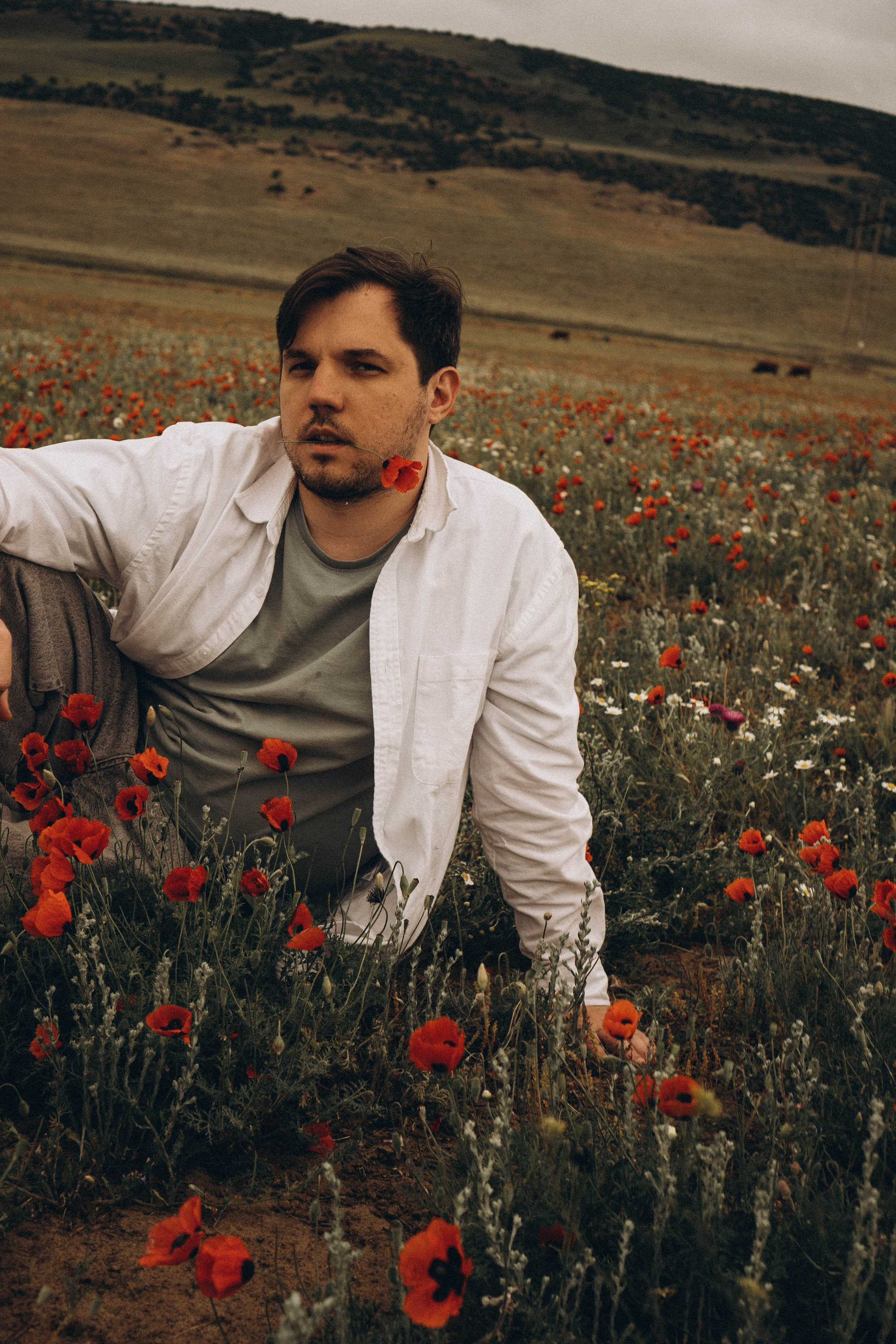 Маки. Профессиональный фотограф, Санкт-Петербург — Виктория Богомолова