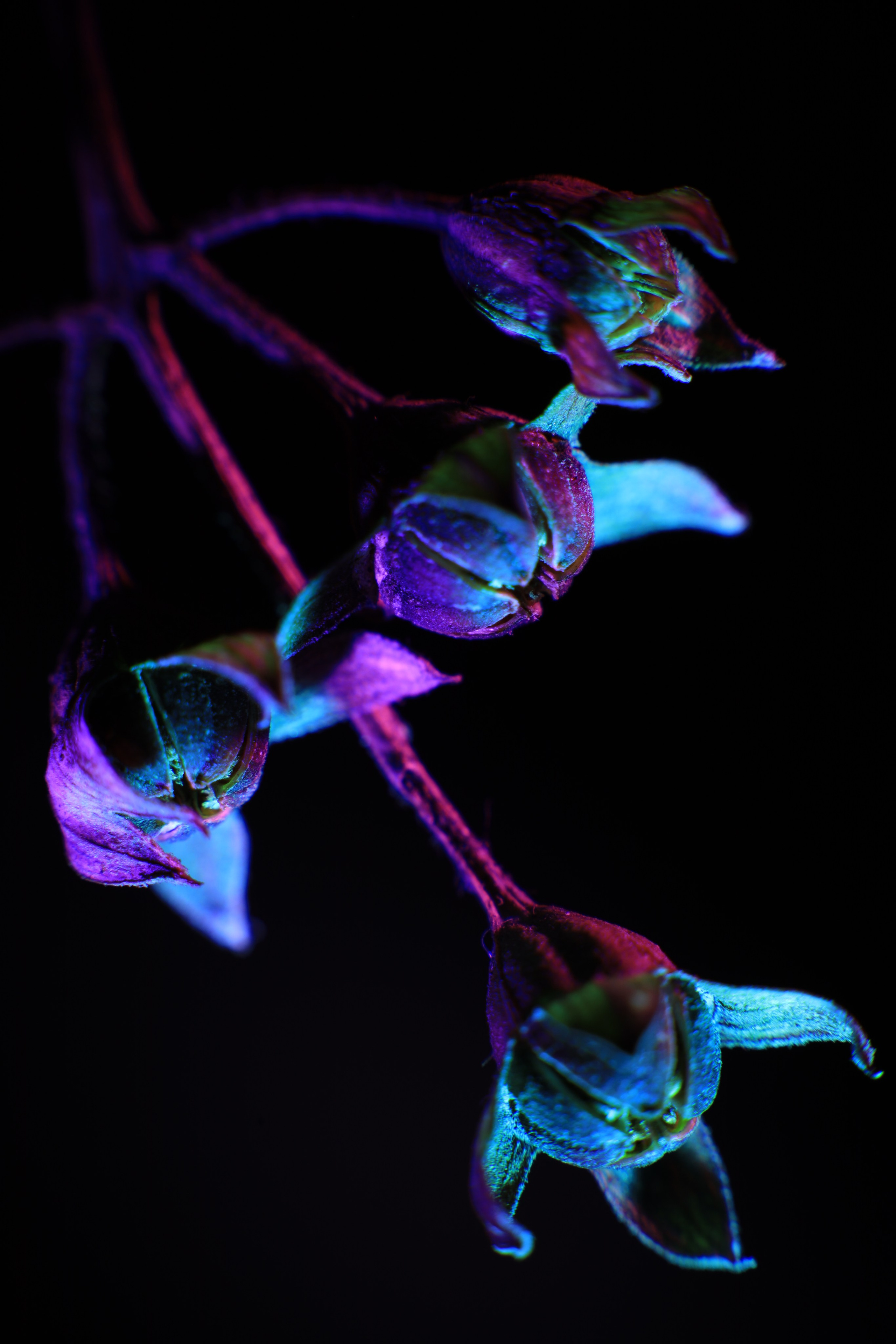 «Красок Тьма Полна». Арт-фотограф во Владивостоке Дмитрий Осипчук