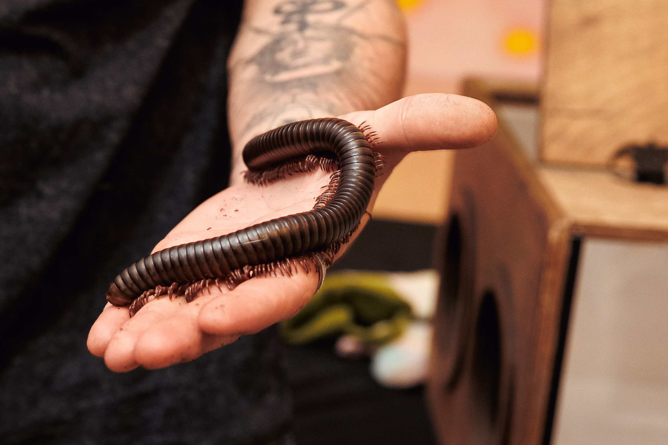 День Рождения Артема