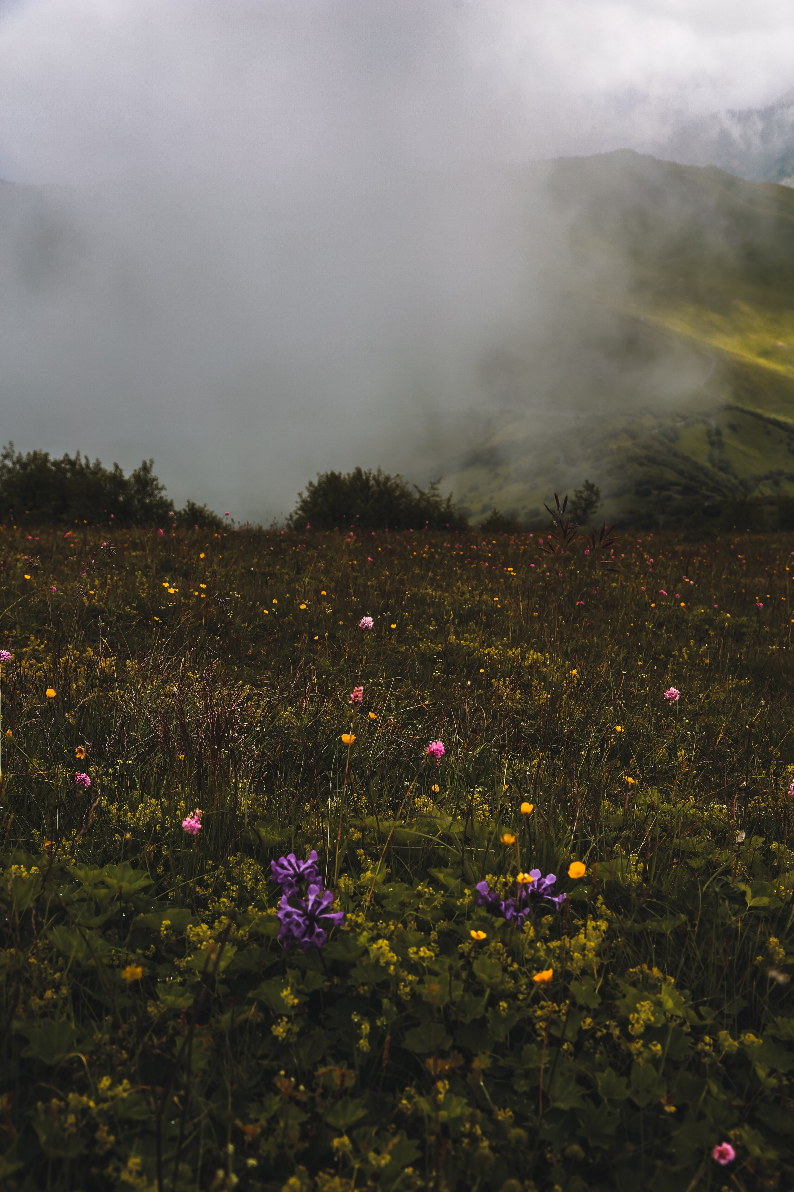 Кавказ: Северная Осетия. Дарья Письменюк / Darya Leitstern — фотограф, музыкант, журналист, путешественник