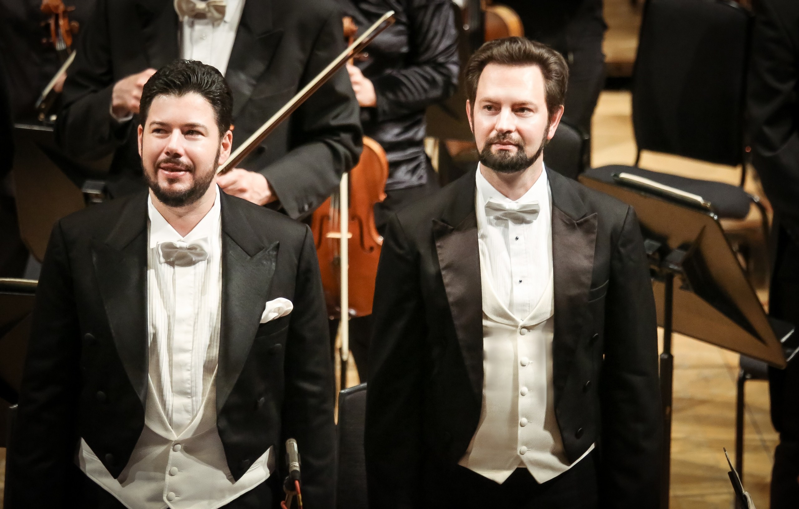 Реквием Верди в Дублине. Дарья Письменюк / Darya Leitstern — фотограф, музыкант, журналист, путешественник