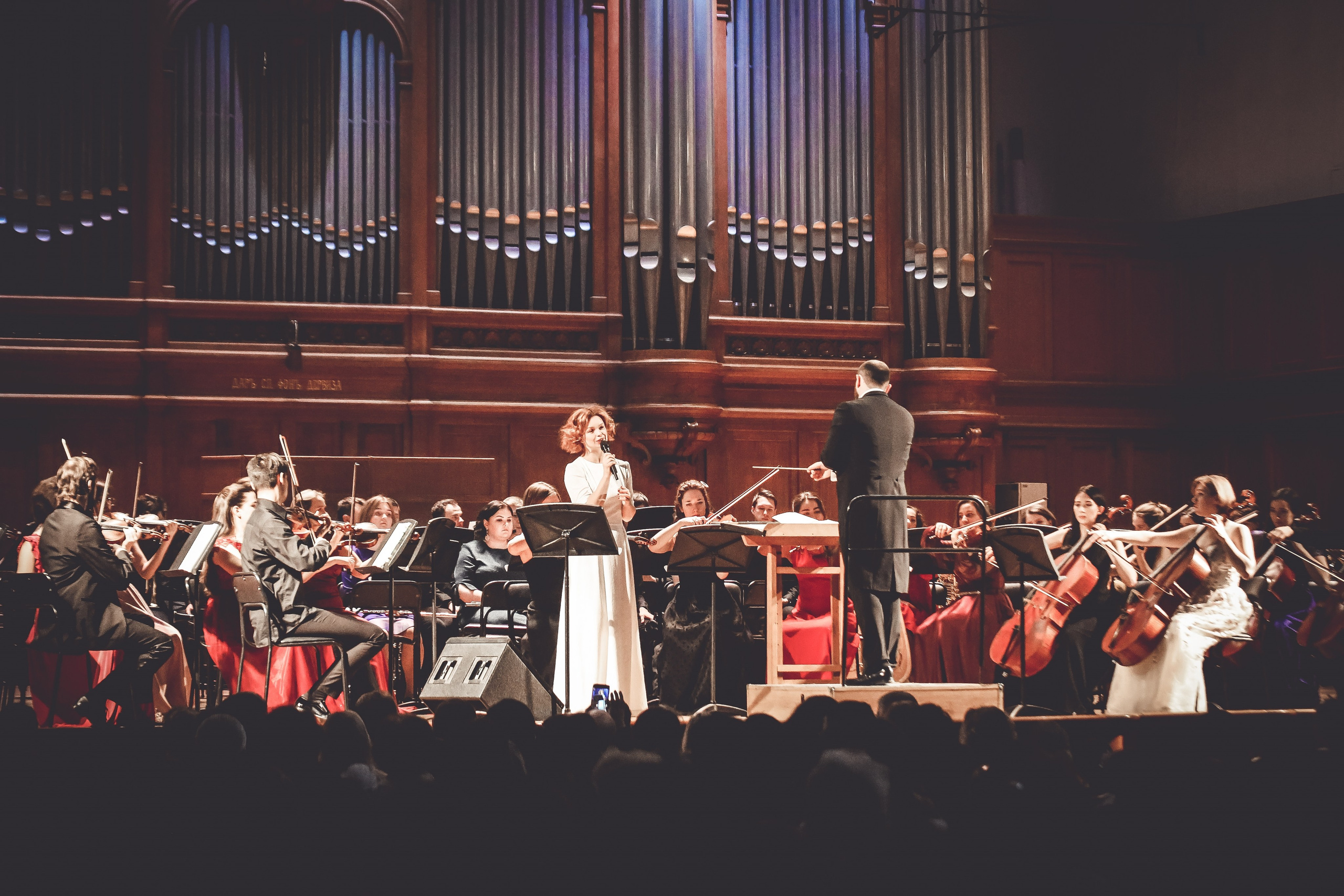 «Лебединое озеро» в БЗК с Алисой Гребенщиковой. Дарья Письменюк / Darya Leitstern — фотограф, музыкант, журналист, путешественник
