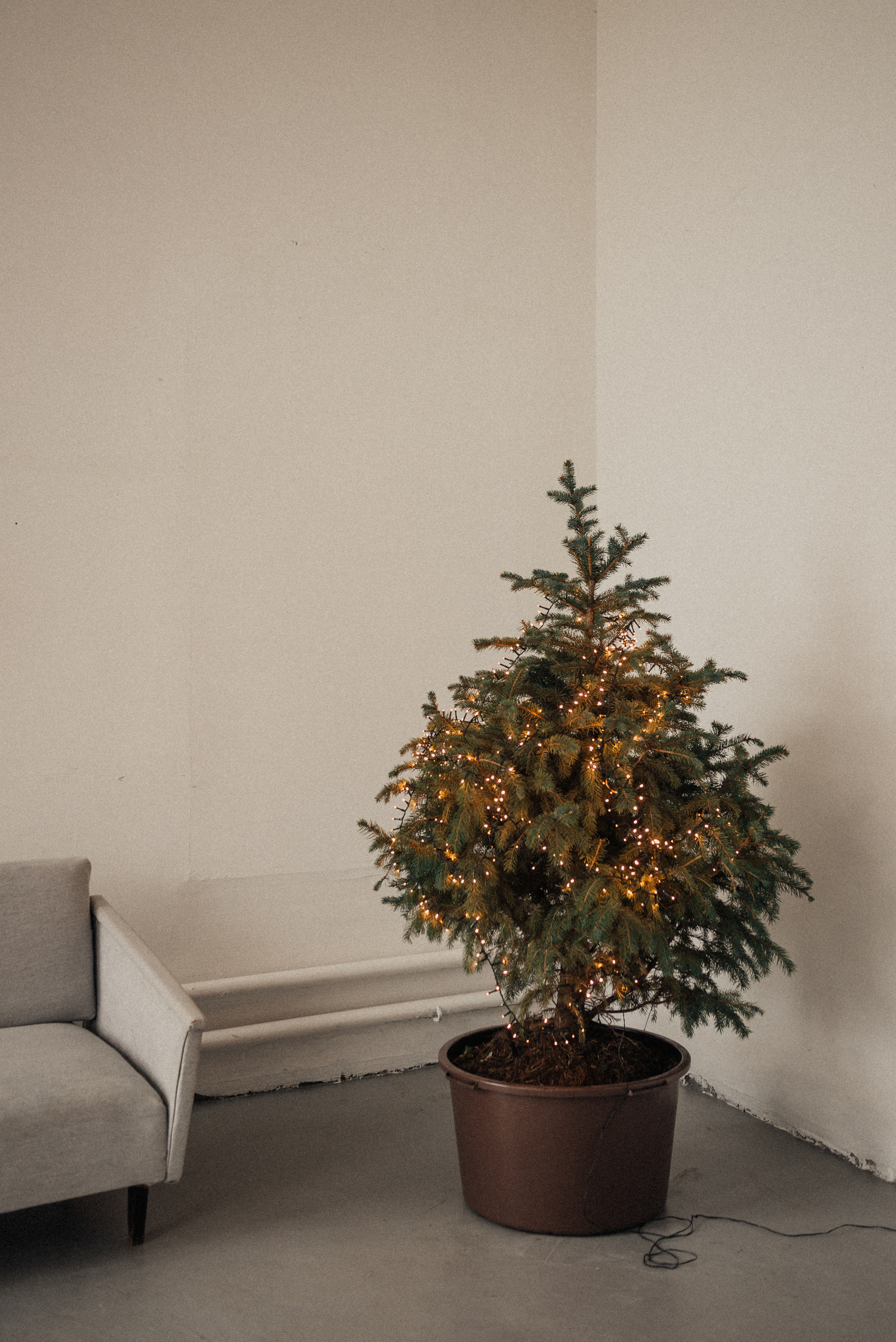 Алина + Влад. Свадебный и семейный фотограф в Волгограде Олеся Лисицкая