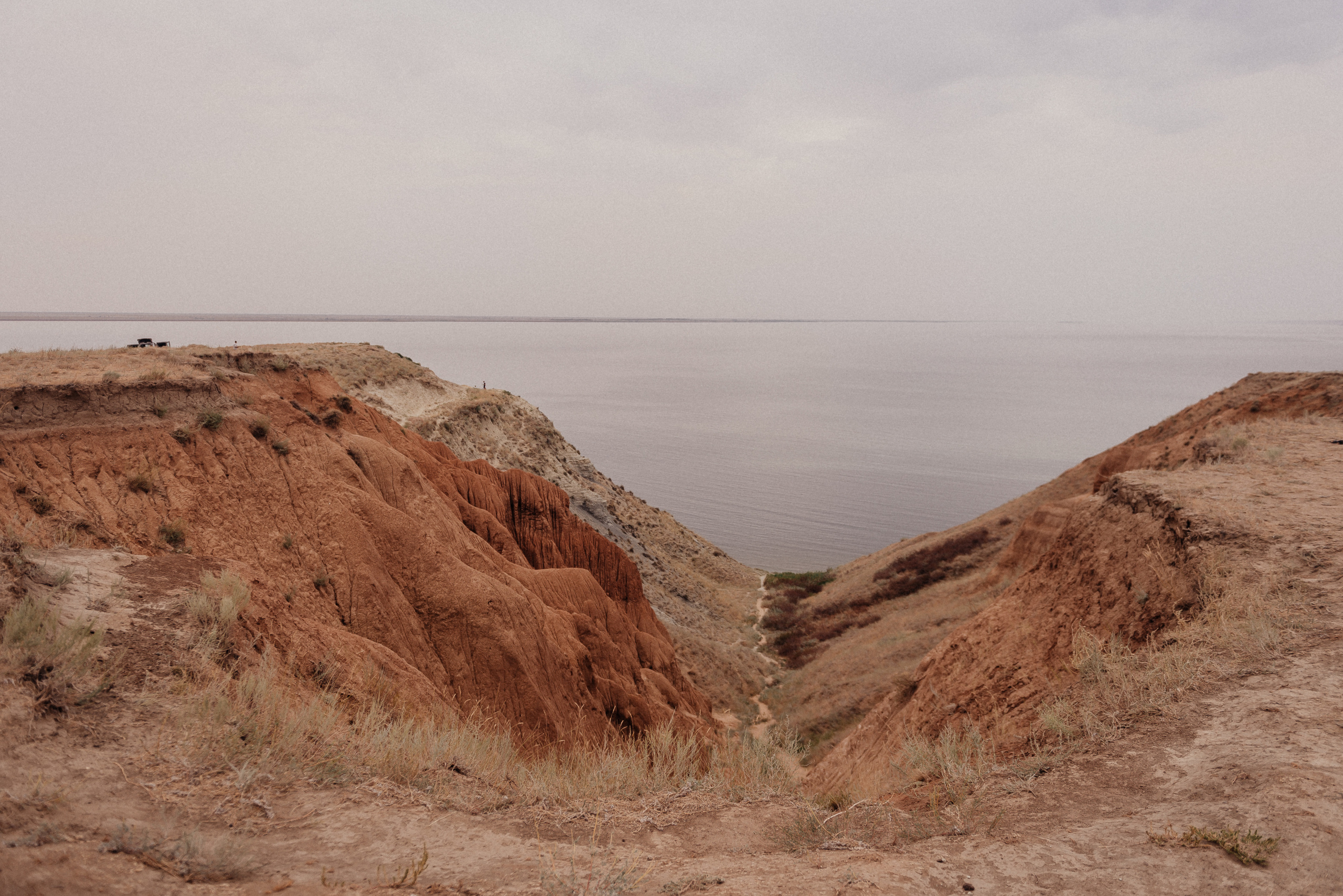 Леся + Вася. Свадебный и семейный фотограф в Волгограде Олеся Лисицкая