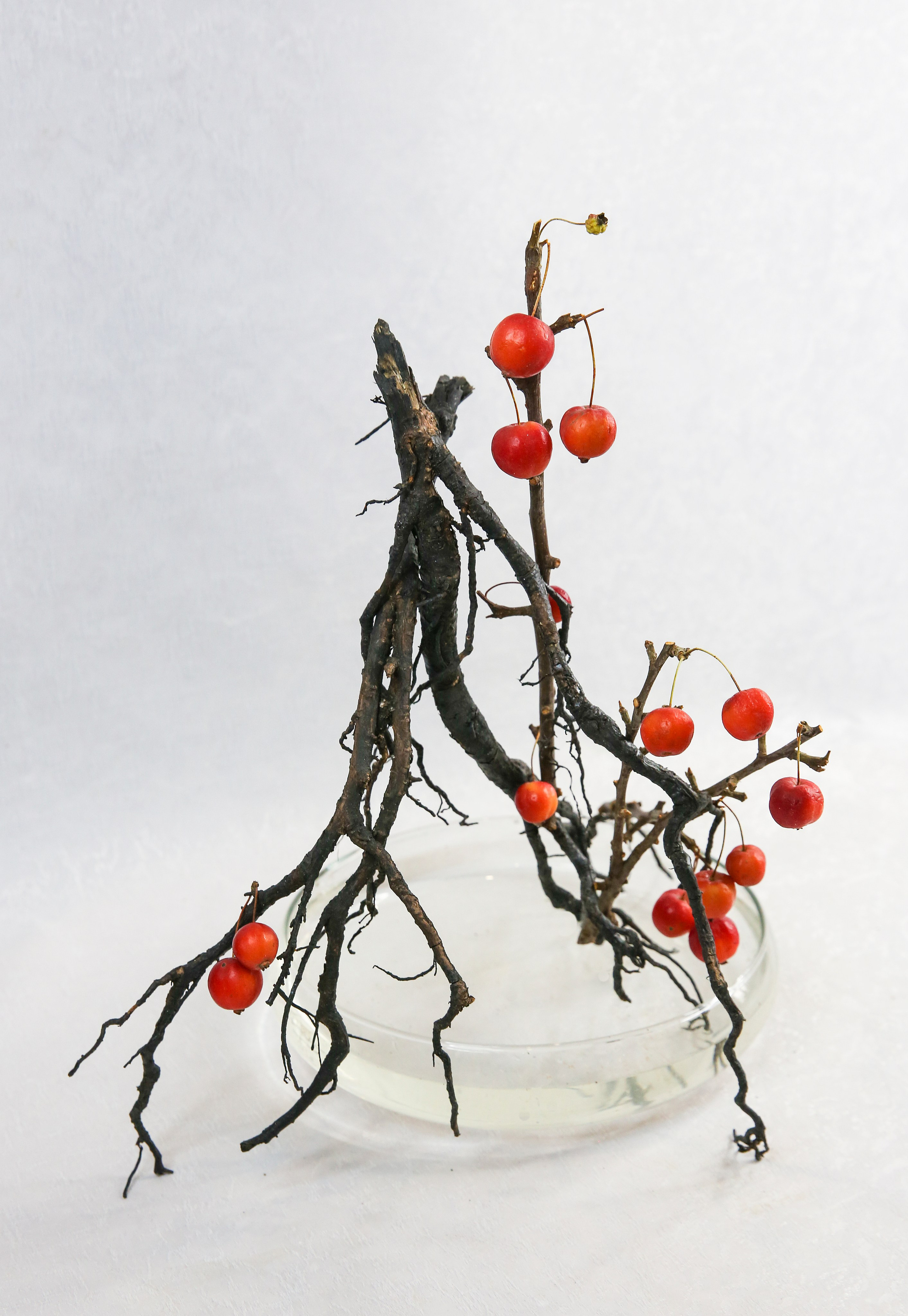 Икэбана Барне. Фотограф Анна Барне