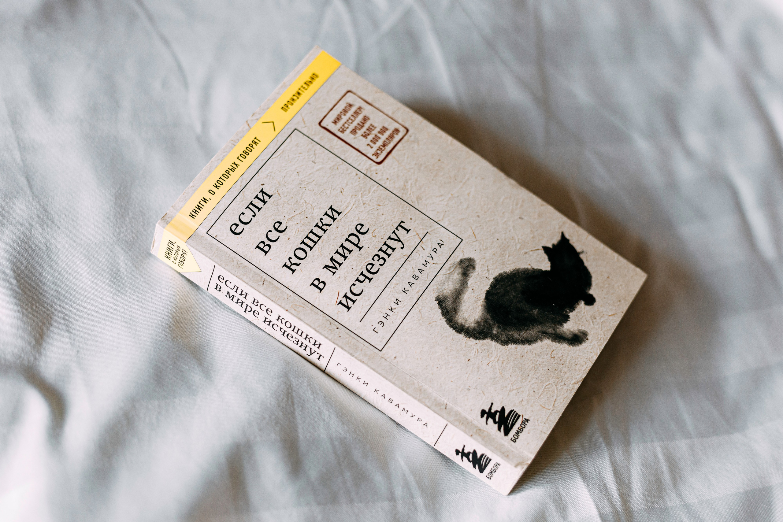 ИРА, САША И 5 КОШЕК