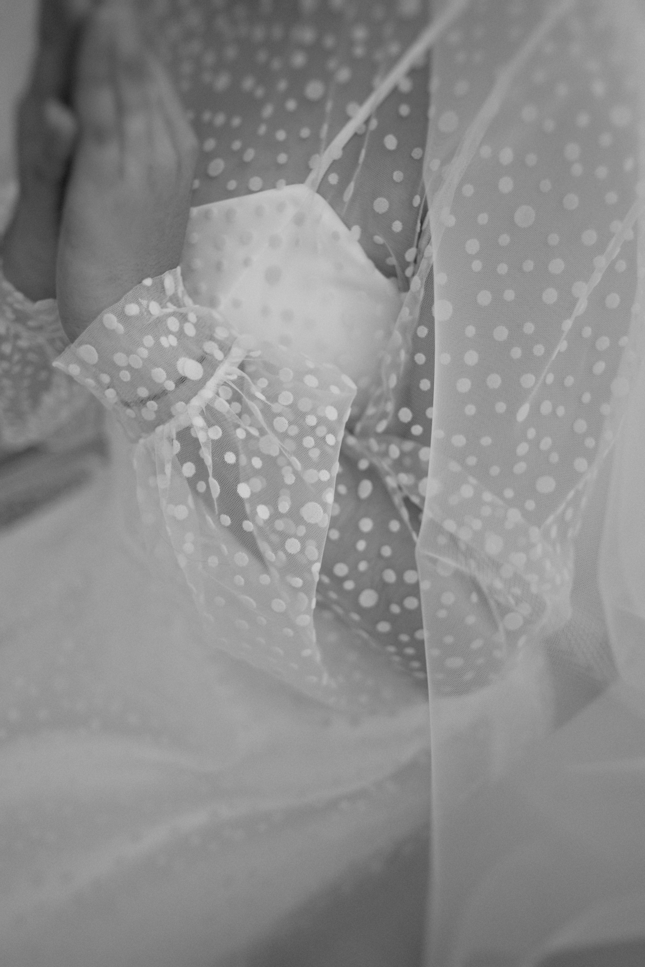 26.08.22 Гриша и Таня. Свадебный фотограф Юлия Гусева