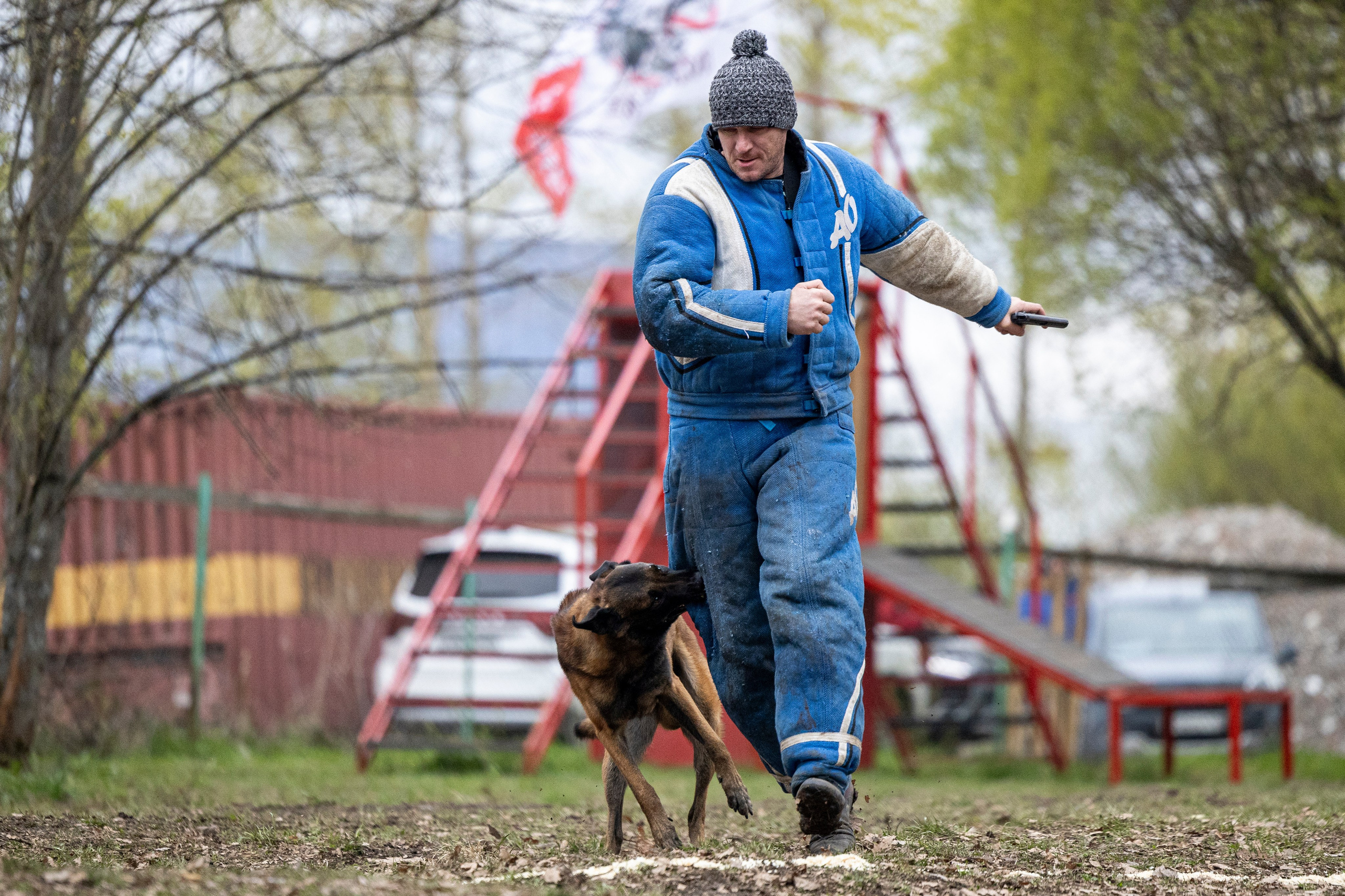 Квалификационные состязания по мондьорингу г. Вологда 11.05.24. Фотограф-анималист Анна Маринич