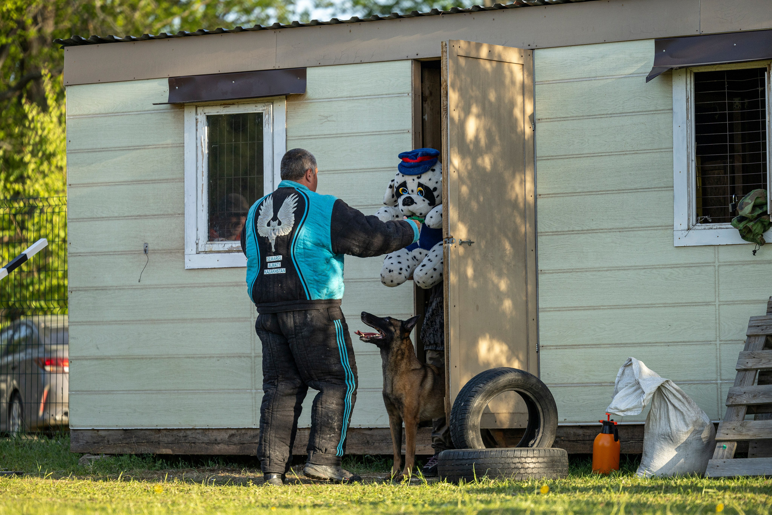 Испытания по мондьорингу в Нижнем Новгороде. Фотограф-анималист Анна Маринич