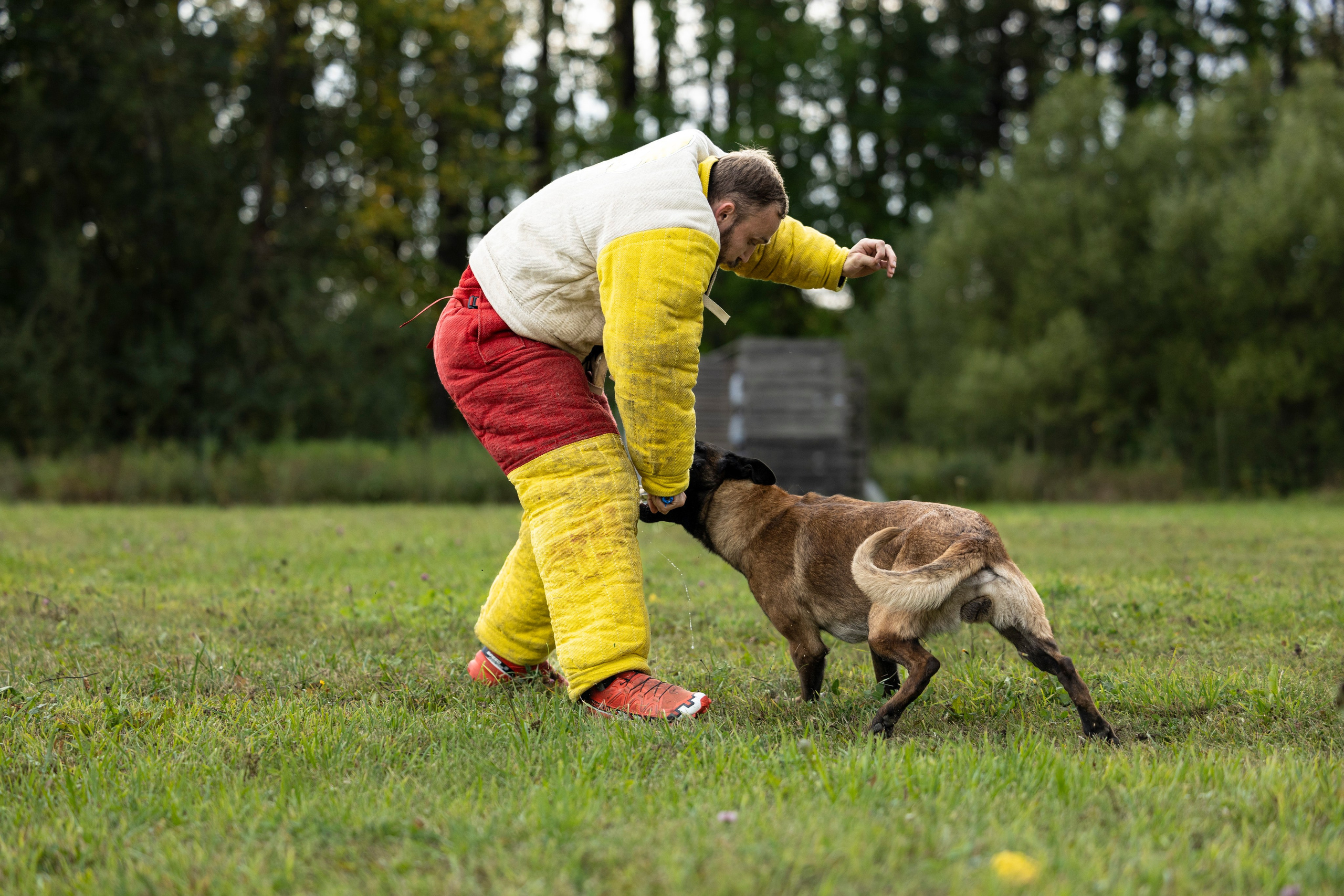 Испытания по Мондьорингу г. Пушкин. Фотограф-анималист Анна Маринич