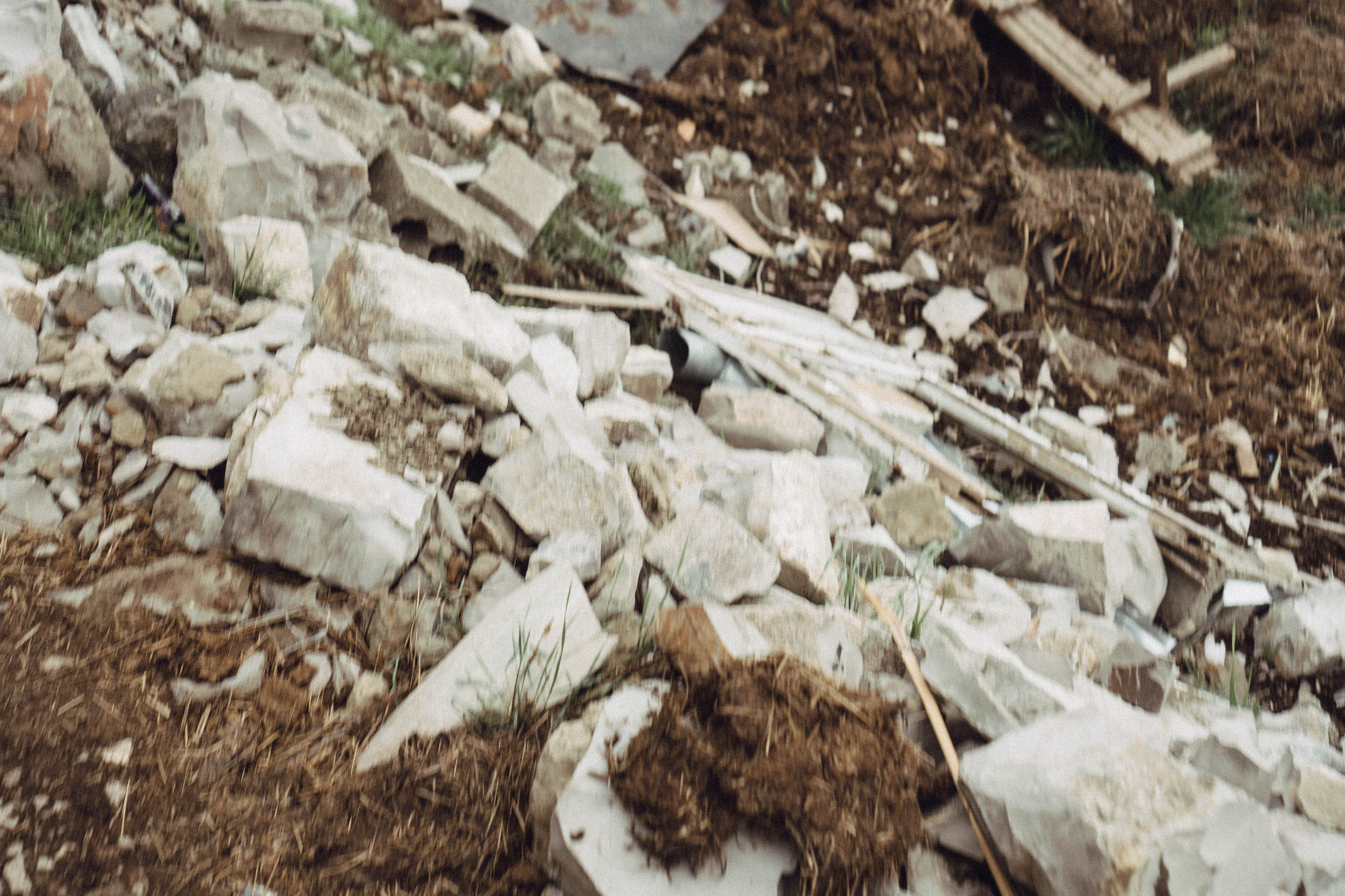 Кавказ. Профессиональный фотограф, Санкт-Петербург — Виктория Богомолова