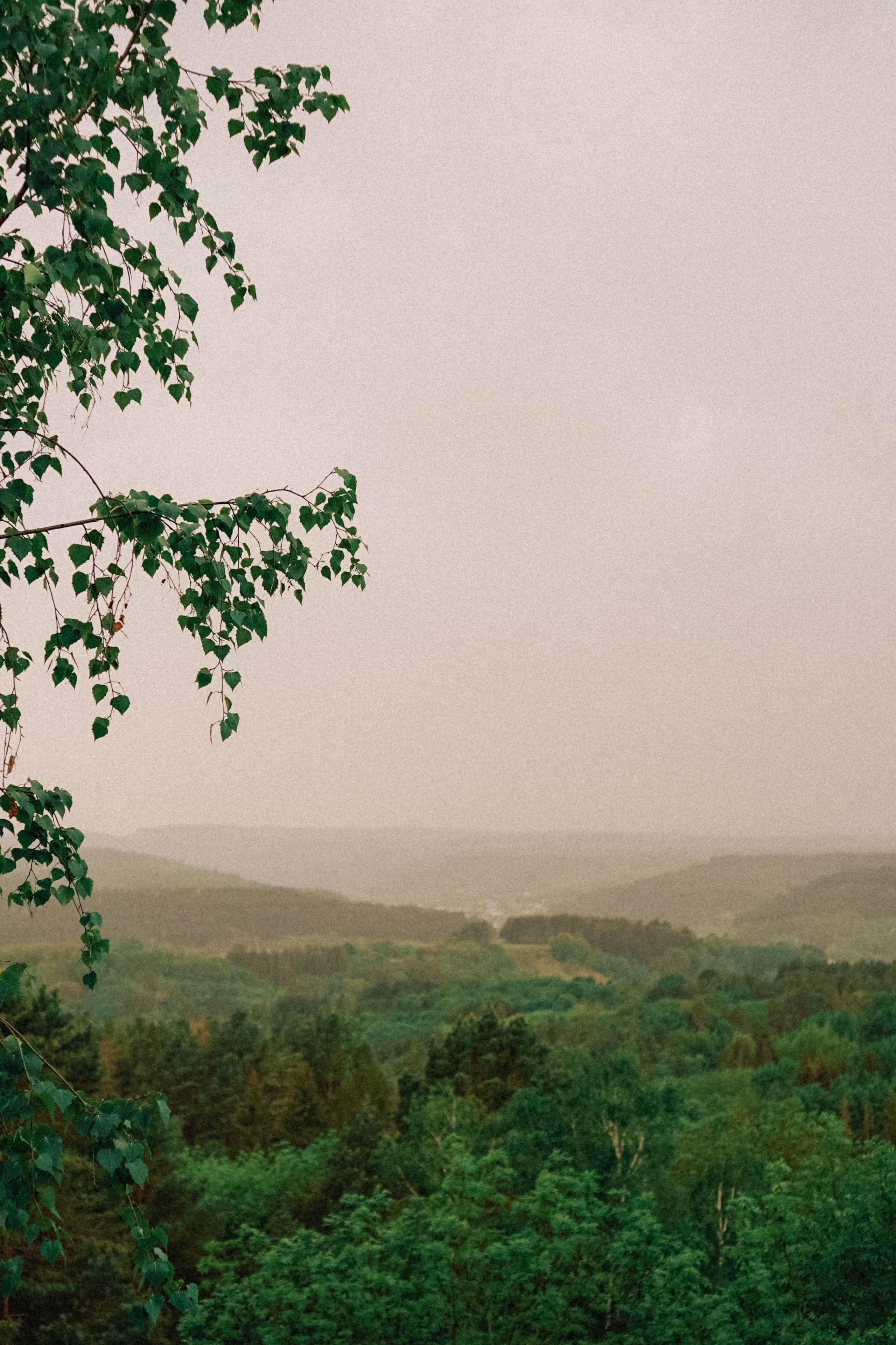 КИСЛОВОДСК. Профессиональный фотограф, Санкт-Петербург — Виктория Богомолова