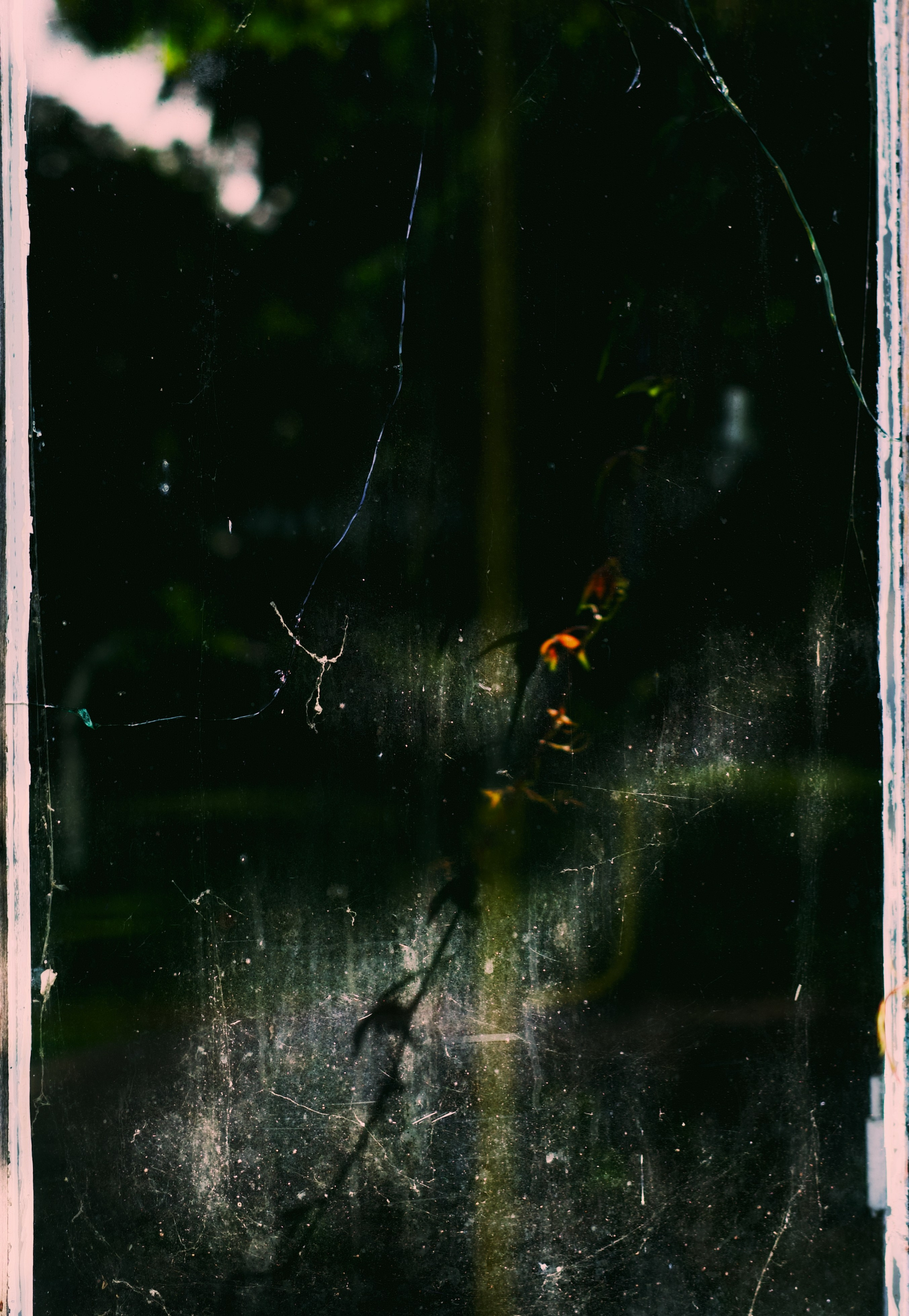 Фотопроект «Отражения». Visual art from artist Anna Butyrskaia for families and individuals